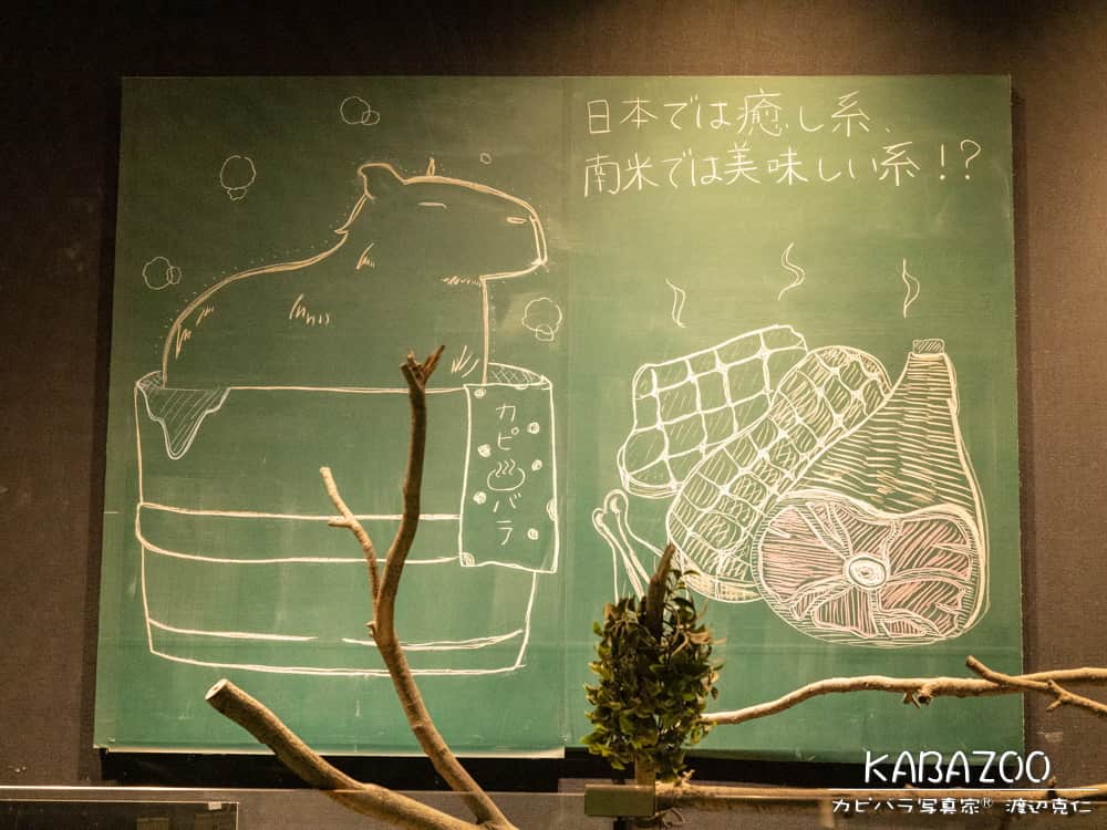 渡辺克仁さんのインスタグラム写真 - (渡辺克仁Instagram)「展示室の壁に飾ってあったチョークアート。 カピバラは可愛く肉やハムはリアル。 日本と南米の対比がテーマ、とても面白い。  #カピバラ #水豚 #capybara #kabazoo」7月15日 11時58分 - katsuhito.watanabe