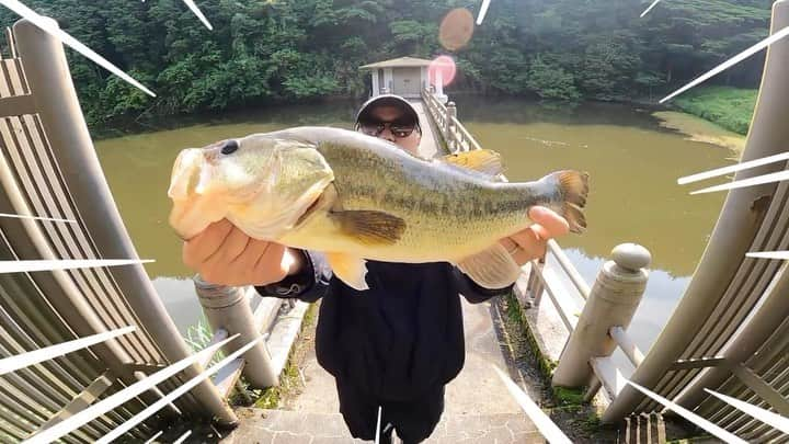 伊藤千秋のインスタグラム：「I made a mini clip. This fish is a bomb slide🐟 #blackbass  #bassfishing @clapsstore_official 釣りの撮影は間違いなく @goprojp だYO!!!」