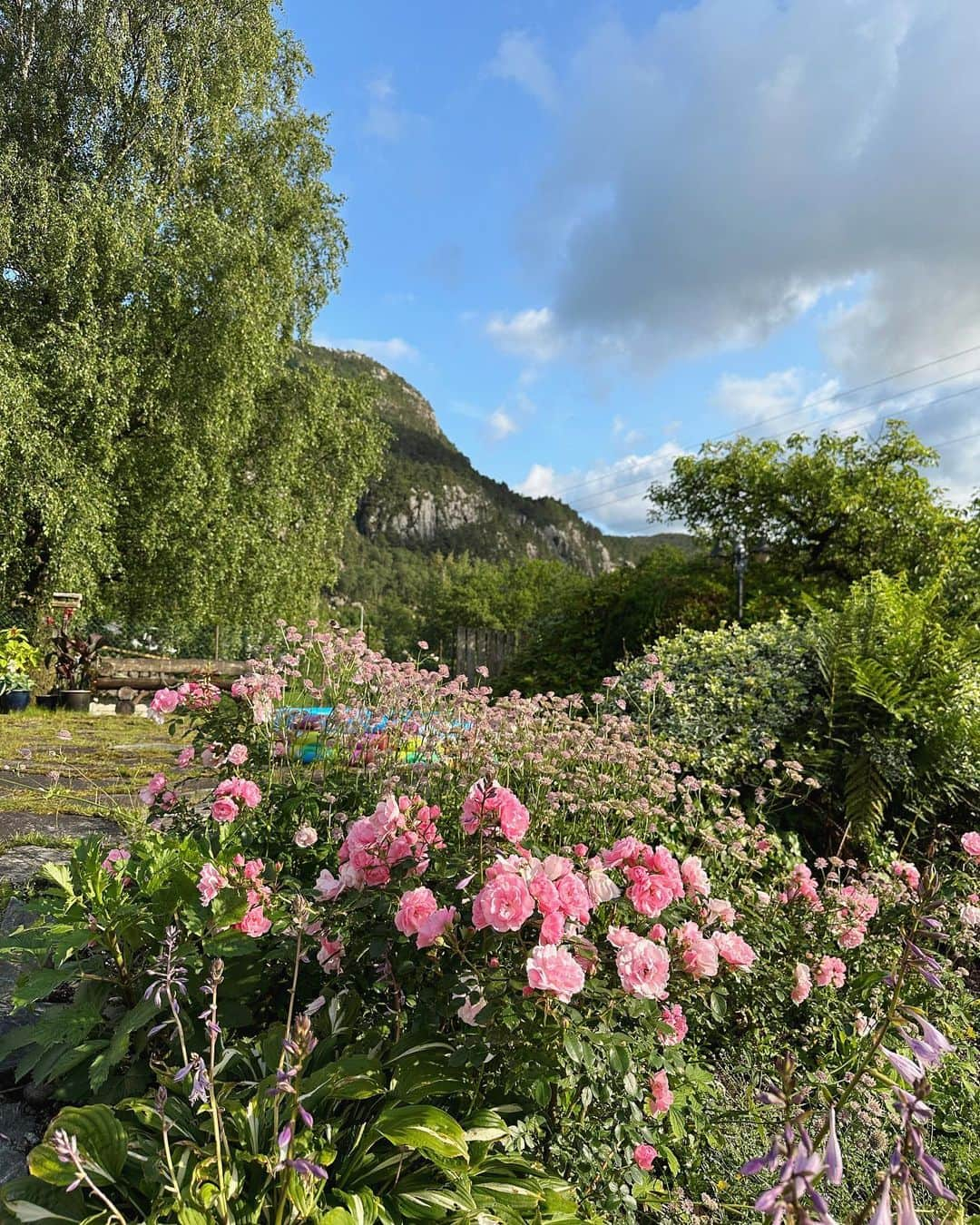 リンジー・エリンソンさんのインスタグラム写真 - (リンジー・エリンソンInstagram)「First trip to Norway! Yes, I know what the sign says 😆🇳🇴」7月15日 6時37分 - lindsellingson