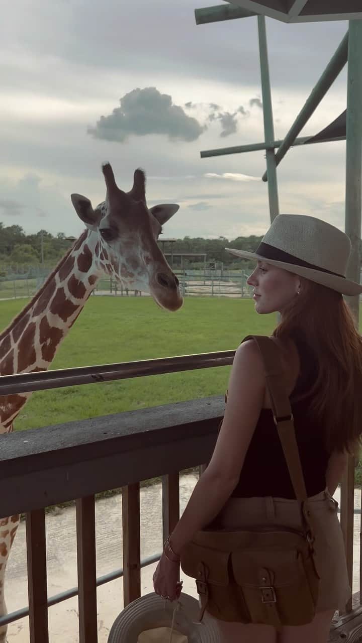 のインスタグラム：「🦒🤎」