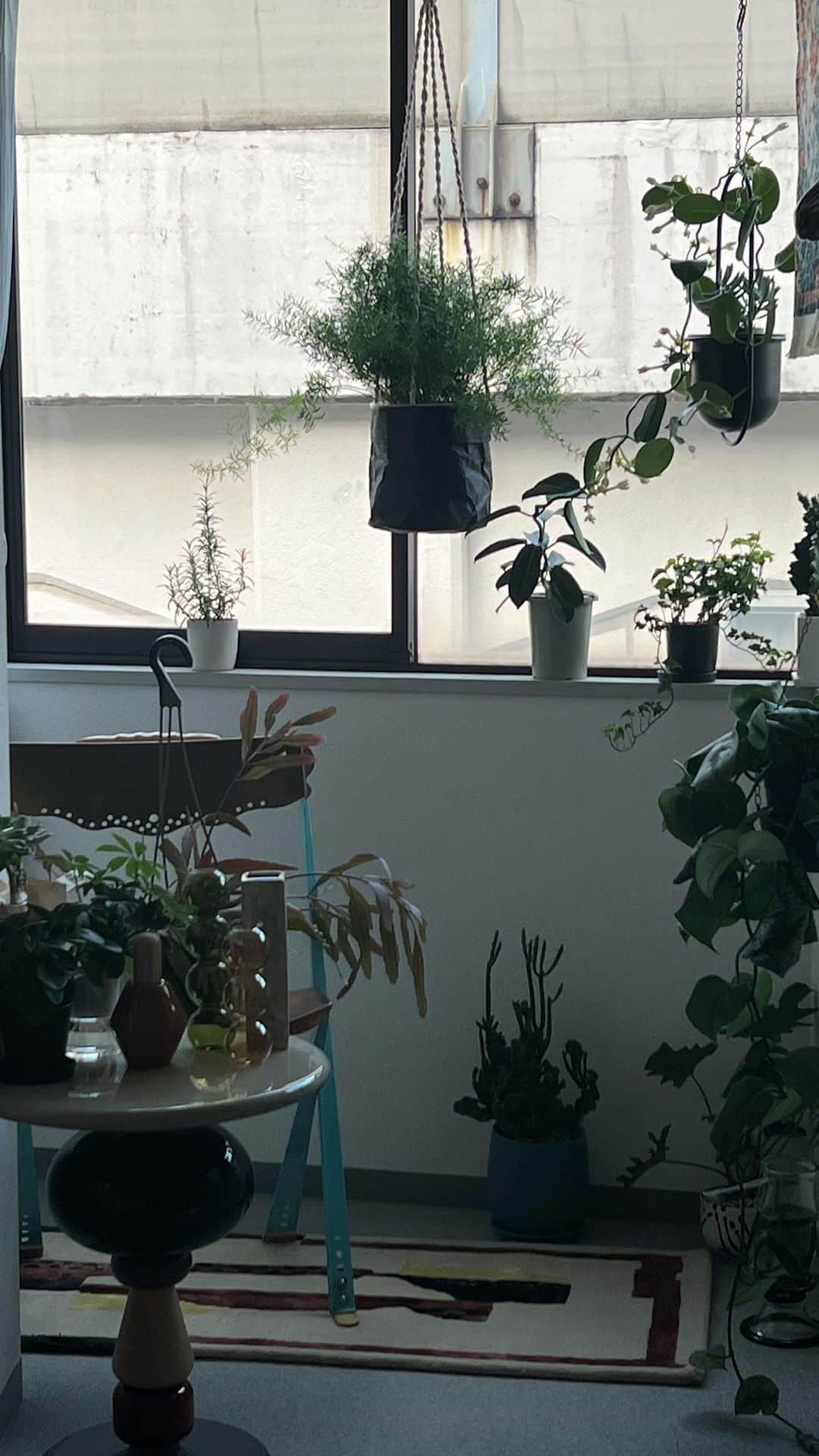 nakiのインスタグラム：「観葉植物を置くだけで小洒落た空間が生まれた気がする。 テイストの違う物を置いても植物のお陰でインテリアがまとまってみえる。  #観葉植物#観葉植物のある暮らし #観葉植物インテリア #アトリエ#インテリ#インテリ雑貨#観葉植物がある暮らし」