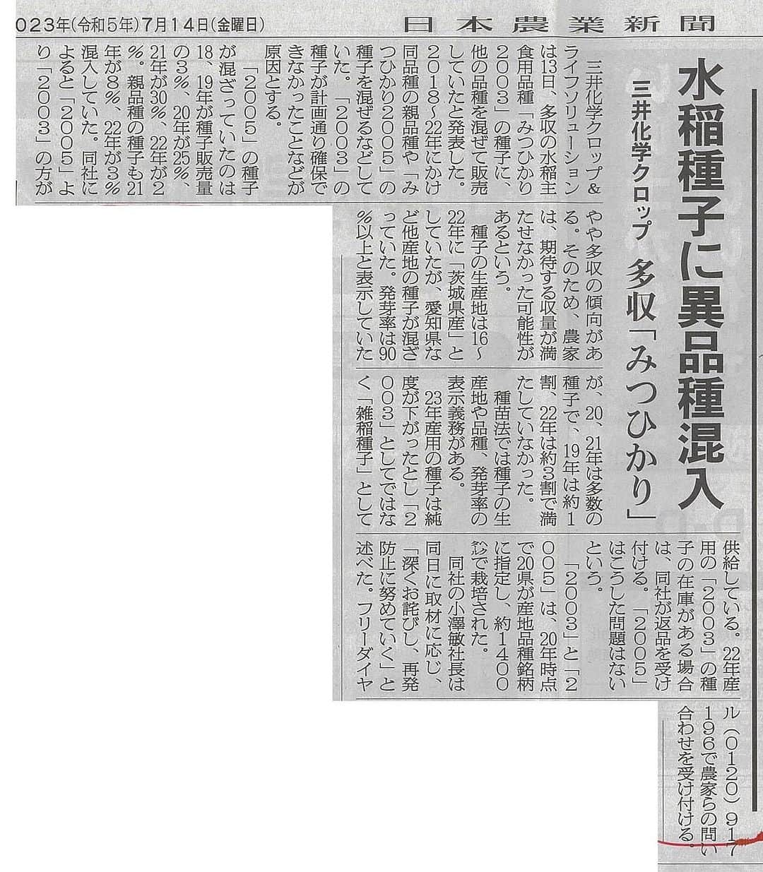 三宅洋平のインスタグラム：「山田正彦さんのfb投稿より拝借の記事。(日本農業新聞)  種子法廃止して三井化学のみつひかりなどを国が奨励して、民間だとクオリティ下がる、種子値段上がるなど、懸念されていたことが全部起きてるね。  ま、沢山の人が自分らで田んぼやってる僕の身の回りじゃ、あんま関係ない話だけれども。  市販のものはどんどん、遺伝子組み換えとか、日本モンサントとかになっていってるわけで。  「このお米はどこ産の銘柄は何ですか？」と聞く人が多増したら良いと思います。  愛のない商いは、根源的な罪なのです。そう言うものを選ばない人が増えることで、減らしていけます。」