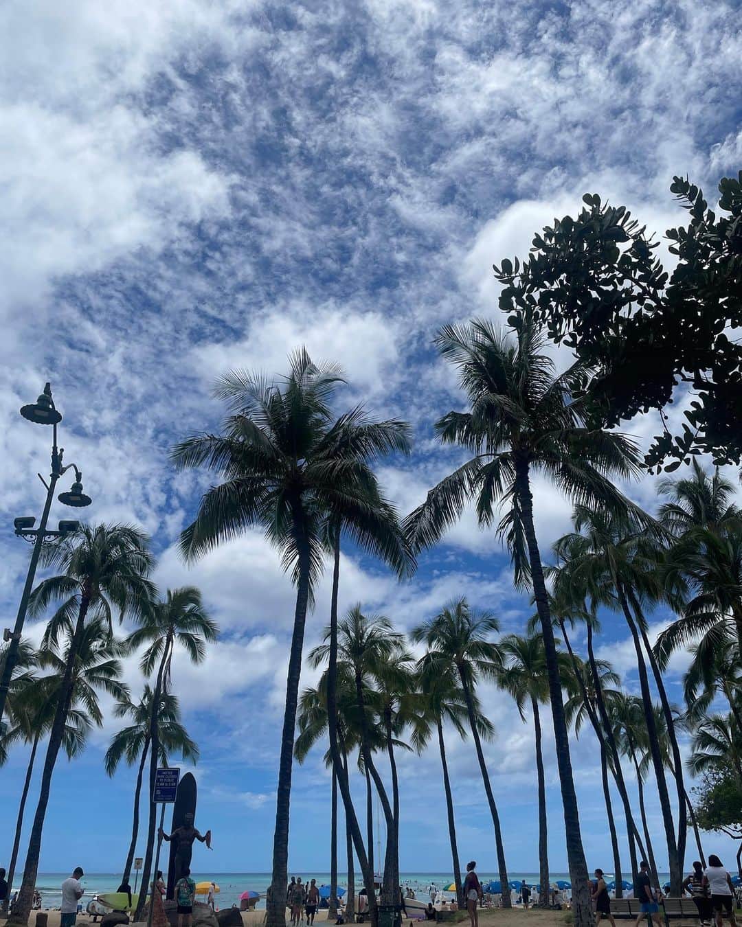 花音舞のインスタグラム：「おはようございます☀ お気づきの方もいると思いますが… 約7年ぶりに Hawaii行って来ました✨ 空気が美味しくて海が気持ちよく🏖 最高…🥹🫶  #hawaii  #honolulu」