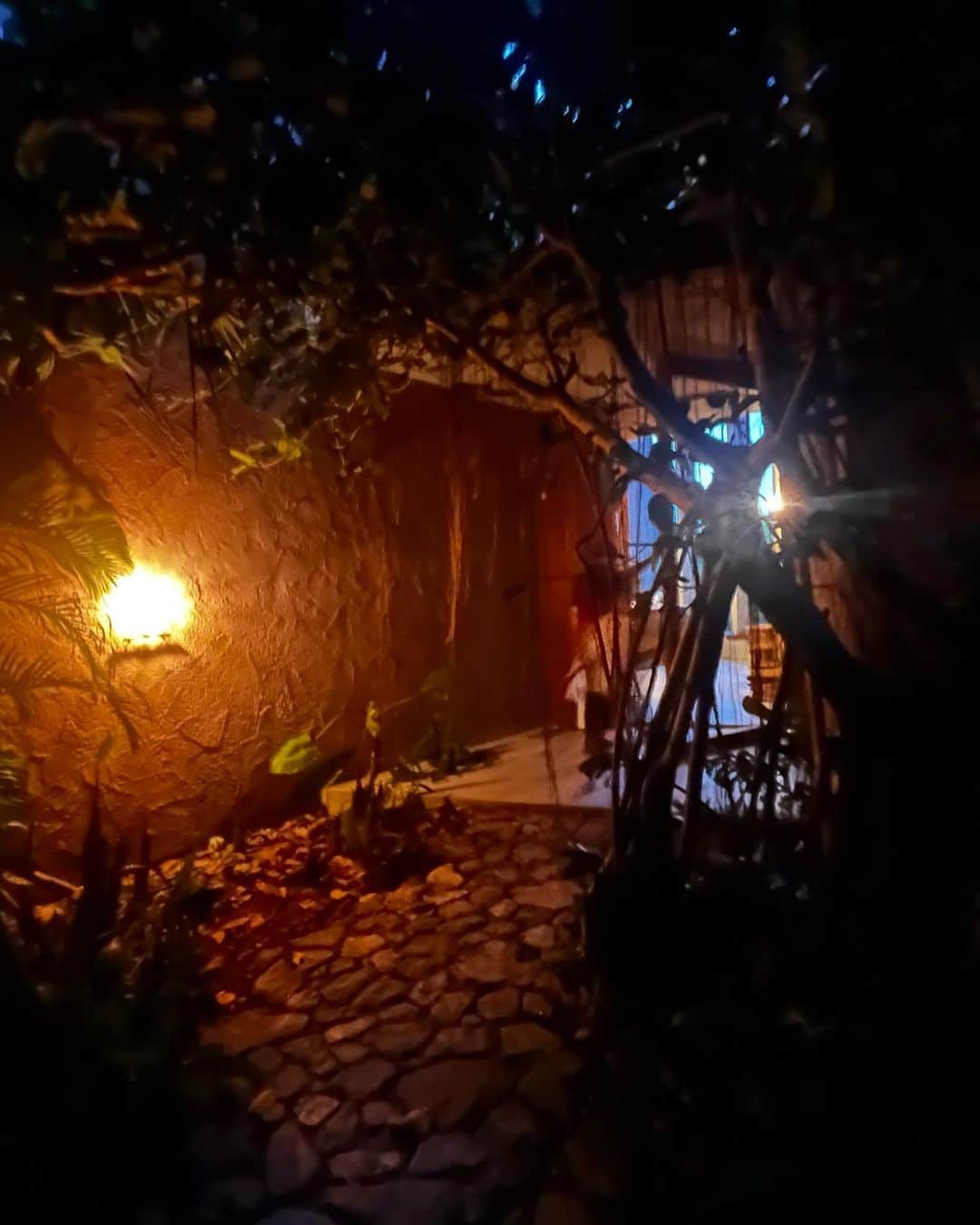 クリス智子さんのインスタグラム写真 - (クリス智子Instagram)「《沖縄旅》  またひとつ、とても素敵な場所に出逢えました。  「mui たびと風のうつわ」 @mui_okinawa   沖縄らしい鬱蒼とした緑の中に、 大きなガラス扉、淡いピンクの壁。 遠近感ある中に、光と影と灯りを存分に味わいました。お部屋もプライベート感があって、置いてあるものは、いずれも、やさしく美しく。 静かで、落ち着きました。 こんな場所をつくるなんて、素敵。 豊かな時間をありがとうございました。  ここからまた後半の旅のはじまり。  #沖縄 #muiたびと風のうつわ」7月15日 7時49分 - chris_tomoko