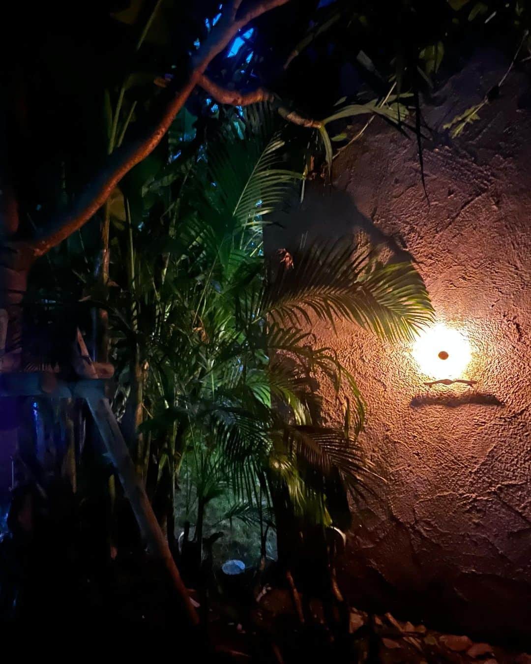 クリス智子さんのインスタグラム写真 - (クリス智子Instagram)「《沖縄旅》  またひとつ、とても素敵な場所に出逢えました。  「mui たびと風のうつわ」 @mui_okinawa   沖縄らしい鬱蒼とした緑の中に、 大きなガラス扉、淡いピンクの壁。 遠近感ある中に、光と影と灯りを存分に味わいました。お部屋もプライベート感があって、置いてあるものは、いずれも、やさしく美しく。 静かで、落ち着きました。 こんな場所をつくるなんて、素敵。 豊かな時間をありがとうございました。  ここからまた後半の旅のはじまり。  #沖縄 #muiたびと風のうつわ」7月15日 7時49分 - chris_tomoko