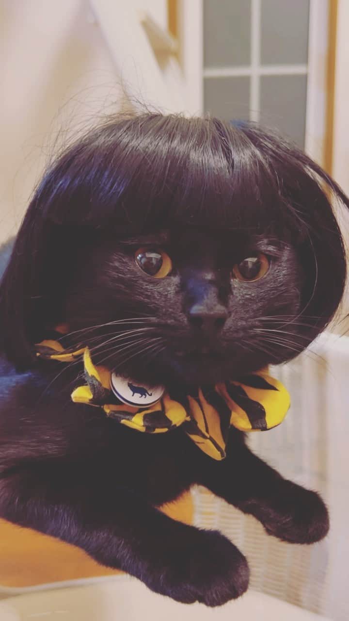 Nahoのインスタグラム