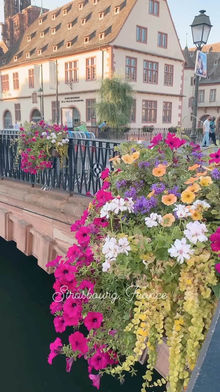Yuka Kaedeのインスタグラム：「. . Strasbourg, France  ドイツとの国境のすぐ隣にある フランスのストラスブール ドイツとフランスの文化が混ざった 美しい街です . . . . #_asyuka_ #strasbourg #france #beautifulworld #beautifuldestinations #beautifulflower #travelphotography #travelgram #worldshotz #worldtraveler #europefocus #europe #beautifulplaces」