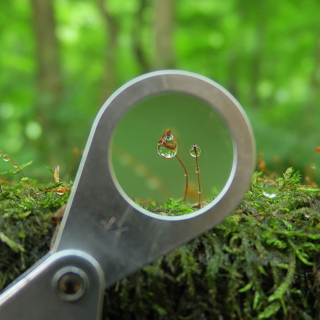 星野リゾートさんのインスタグラム写真 - (星野リゾートInstagram)「【大自然の中で心癒される旅🌿】 📍奥入瀬渓流ホテル  奥入瀬渓流ホテルでは「渓流スローライフ」をコンセプトに、大自然の中で心癒される旅をご用意しています。 岡本太郎作の暖炉と四季折々の景色を楽しめるロビーや、せせらぎを独り占めできるラグジュアリーな客室、渓流沿いでアペリティフを味わうフレンチレストランなど、自然に包まれる贅沢な空間で、至福のひとときをお過ごしください。  #HoshinoResorts #星野リゾート #奥入瀬渓流ホテル #OiraseKeiryuHotel #奥入瀬渓流 #青森旅行 #青森ホテル #絶景ホテル #国立公園 #リゾートホテル」7月15日 9時00分 - hoshinoresorts.official