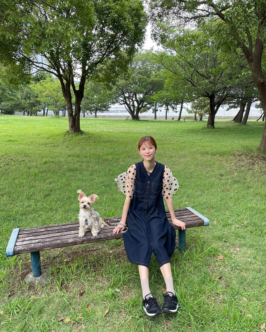 溝口恵さんのインスタグラム写真 - (溝口恵Instagram)「愛犬ひじきと旦那さんと休日お散歩に少し遠い公園に連れて行ってもらうのがすっごくリフレッシュになって楽しい☺️  ドッグランもある公園に行くのだけど、ひじきの犬見知りがすごくて私達の足元から離れなくなります🤣  芝生いいよね〜🐶  #ひじめぐ #dog #愛犬 #犬 #わんこ」7月15日 9時39分 - mizomegudesu78