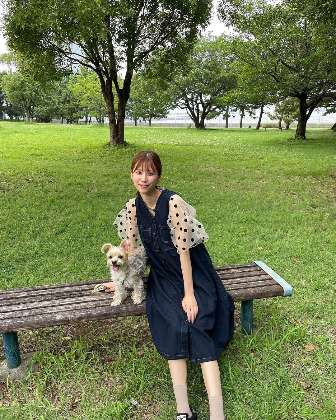 溝口恵さんのインスタグラム写真 - (溝口恵Instagram)「愛犬ひじきと旦那さんと休日お散歩に少し遠い公園に連れて行ってもらうのがすっごくリフレッシュになって楽しい☺️  ドッグランもある公園に行くのだけど、ひじきの犬見知りがすごくて私達の足元から離れなくなります🤣  芝生いいよね〜🐶  #ひじめぐ #dog #愛犬 #犬 #わんこ」7月15日 9時39分 - mizomegudesu78