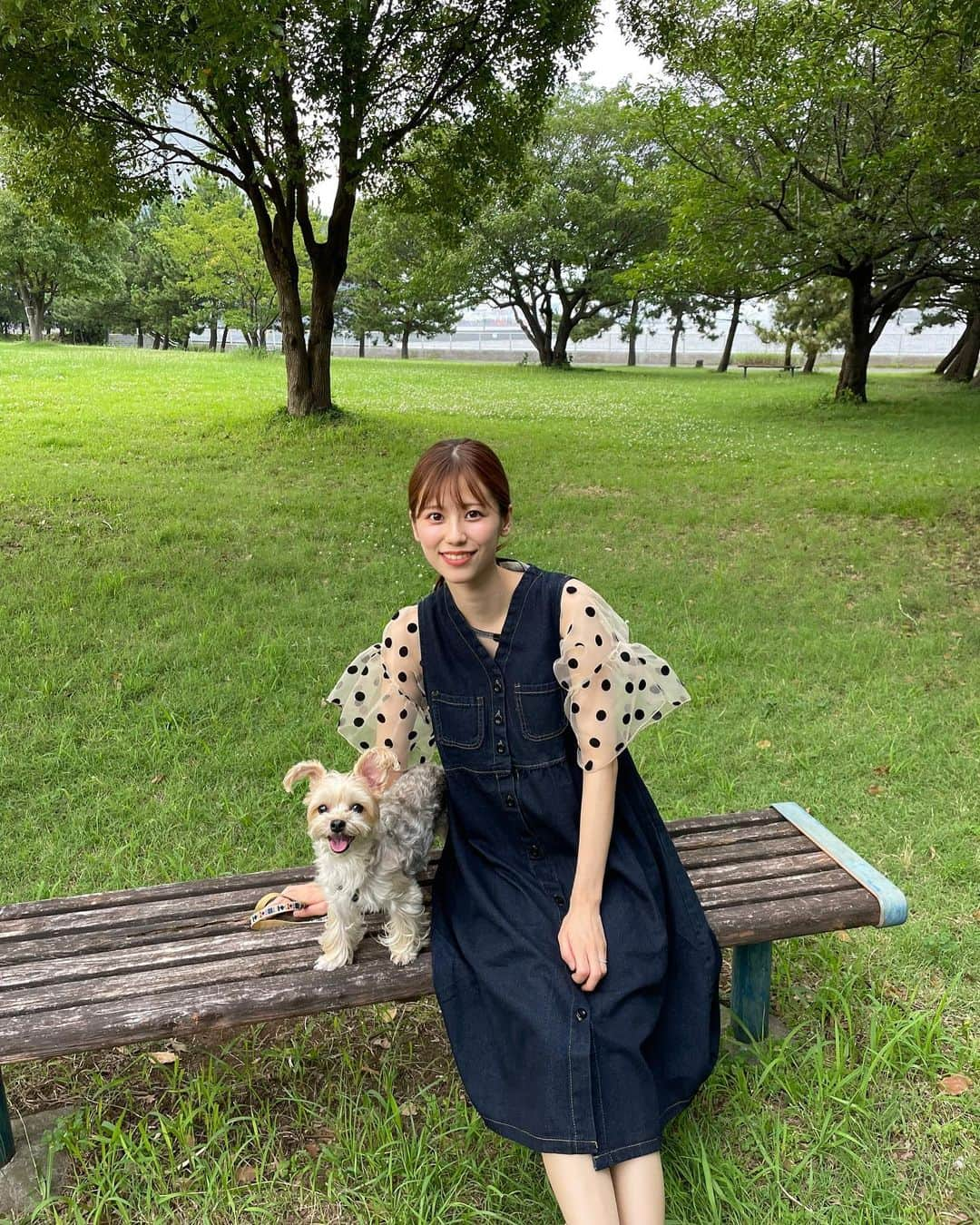 溝口恵さんのインスタグラム写真 - (溝口恵Instagram)「愛犬ひじきと旦那さんと休日お散歩に少し遠い公園に連れて行ってもらうのがすっごくリフレッシュになって楽しい☺️  ドッグランもある公園に行くのだけど、ひじきの犬見知りがすごくて私達の足元から離れなくなります🤣  芝生いいよね〜🐶  #ひじめぐ #dog #愛犬 #犬 #わんこ」7月15日 9時39分 - mizomegudesu78