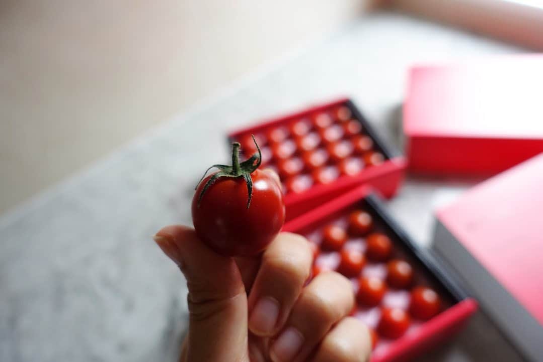 田中麻衣のインスタグラム：「気になっていた @lycopure_official トマト🍅  この夏は、毎日にようにトマトを食べています。 色々な品種のトマトを食べ比べするのがたのしくて。  こちらのリコピュアトマトは、なんと通常の約4倍のGABAを含み精神的ストレスの緩和、睡眠の質向上、肌の弾力維持をサポートしてくれるのだそう。  GABAってよく聞くけど何だろうと思い調べてみると、アミノ酸の一種で摂取するとリラックス効果を高めたり、興奮を落ち着かせたりする効果が期待できるそうです。  こちら、箱に入っているのでギフトにも喜ばれそうです。」