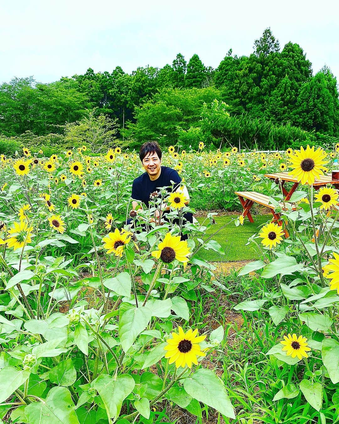 藤原一裕さんのインスタグラム写真 - (藤原一裕Instagram)「ひまわりとオジサン。  撮影者チビランド。  #需要なくても供給 #フジワランド #撮影」7月15日 10時27分 - fjwrkzhr