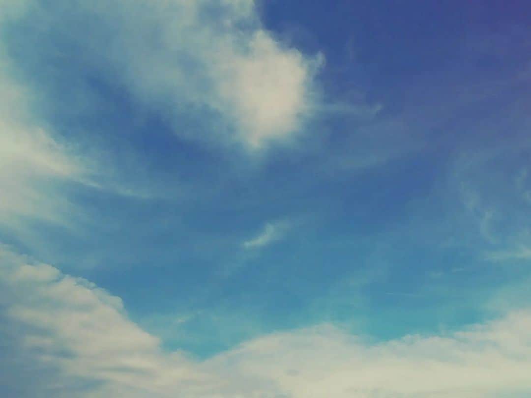 サヘル・ローズさんのインスタグラム写真 - (サヘル・ローズInstagram)「空へ　羽ばたけ」7月15日 20時17分 - sa_chan_1021