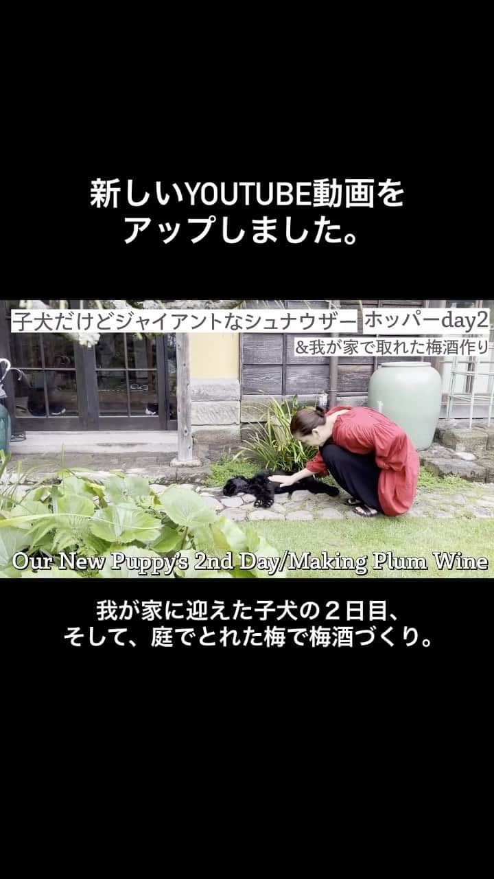 桐島かれんのインスタグラム
