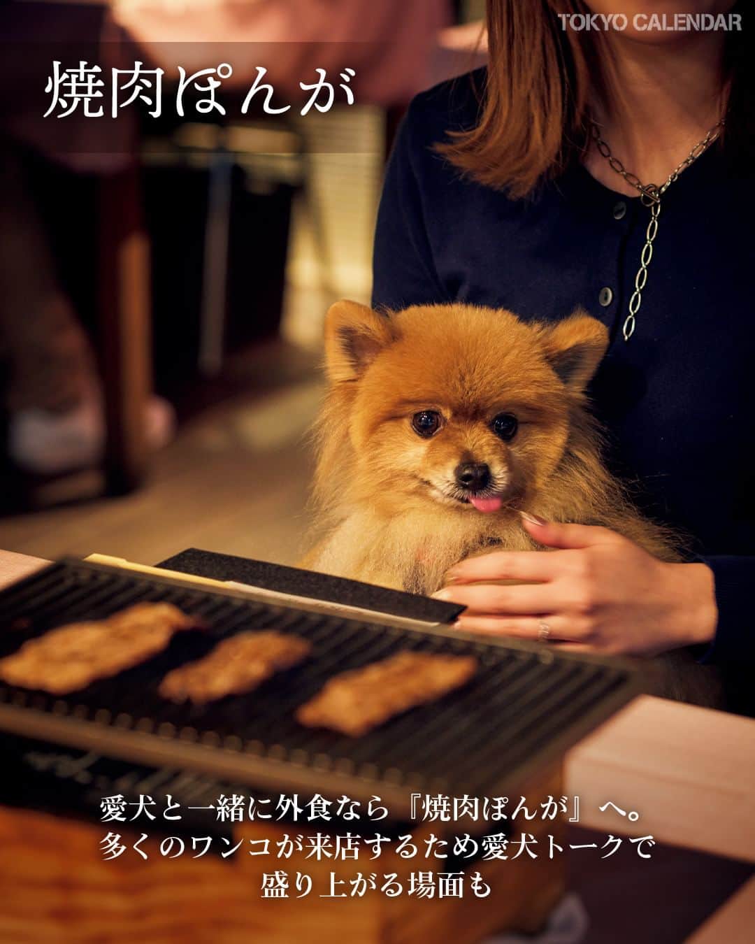 東京カレンダーさんのインスタグラム写真 - (東京カレンダーInstagram)「「財布を気にせずお酒を飲みたい夜は…」「愛犬と一緒に行ける店は…」etc。  シチュエーション別でおすすめな目黒のレストランを一挙ご紹介！  その1：仲間と気兼ねなく飲んで、語って、寛ぎたい日に 【SIBAFU（シバフ）】 📌目黒区下目黒1-7-5 バーナードハウス 1F  その2：愛犬と一緒に外食を楽しむなら 【焼肉 ぽんが】 📌品川区上大崎2-17-5 デルタンビル1F・B1  その3：美と健康を気遣う相手なら 【aizbar】 📌品川区上大崎2-26-5 メグロードビル2F  その4：グルメな健啖家と会食するなら 【鳥焼 笹や】 📌目黒区目黒1-24-6 室井ビル 1F  ▷ お店が気になったら【保存】をタップ👆 ▷ 予約するなら【#グルカレ レストラン名】で検索🔎 ……………………………………………………… ▶都会の大人向けライフスタイルを毎日発信中 @tokyocalendar  #SIBAFU #シバフ #鳥焼笹や #焼肉ぽんが #aizbar #東京カレンダー #Tokyocalendar #tokyofood #東京美食 #東京グルメ #東京デート #東京ディナー #デート #目黒 #目黒グルメ #焼肉 #焼肉デート #肉デート #ビストロ  #わんことおでかけ#ペット同伴可  #ペット同伴可能」7月15日 21時00分 - tokyocalendar
