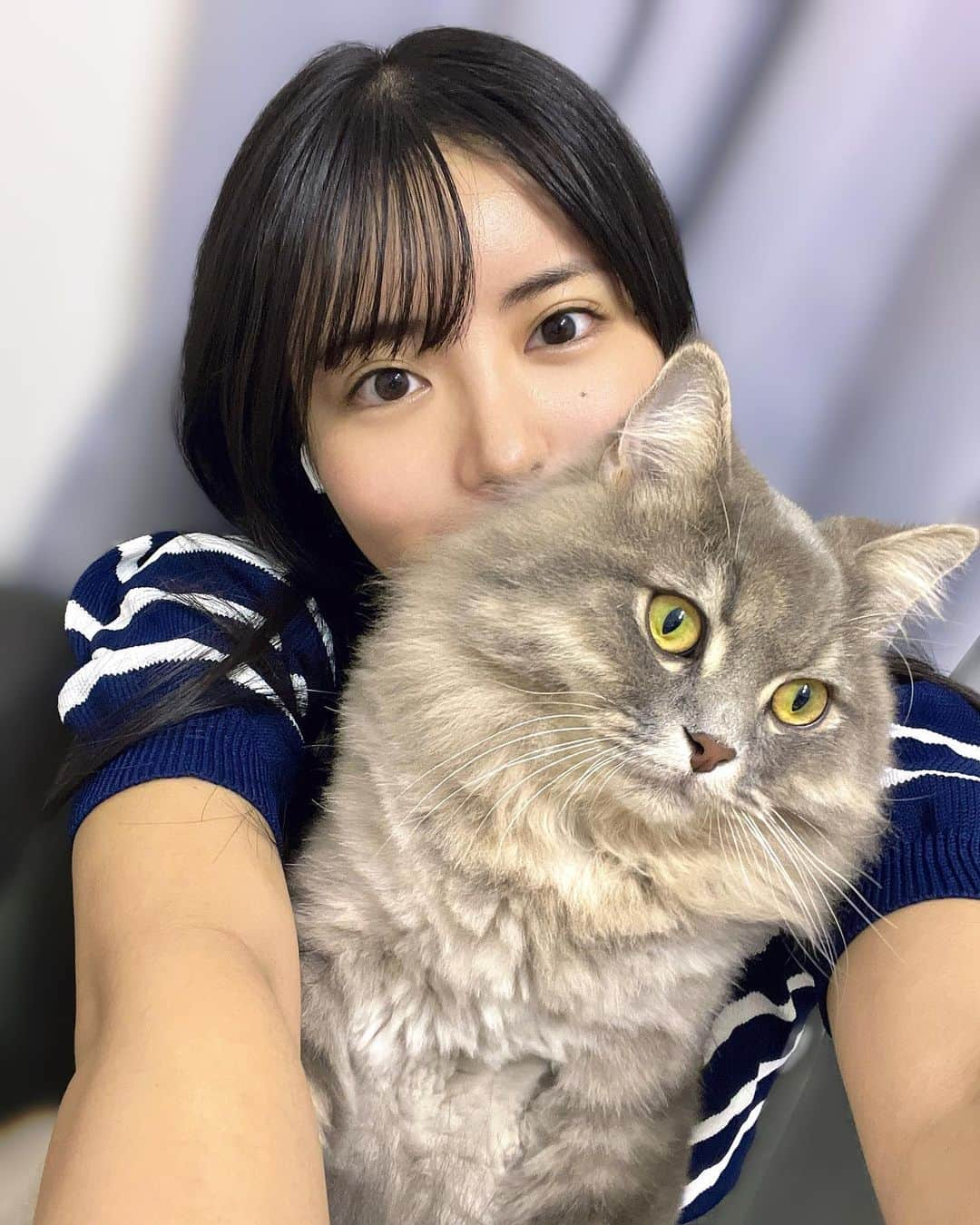 竹内花さんのインスタグラム写真 - (竹内花Instagram)「うるさんに癒してもらってます🥳 すっぴんだったのでお肌が喜んでる〜！ 今日も一日おつかれ様でした！！  明日はお休みなのでゆっくりするぞ〜 みんなは何するの〜？🤔  #オフショット #猫のいる暮らし #猫すたぐらむ #すっぴん」7月15日 21時00分 - hanadanya_