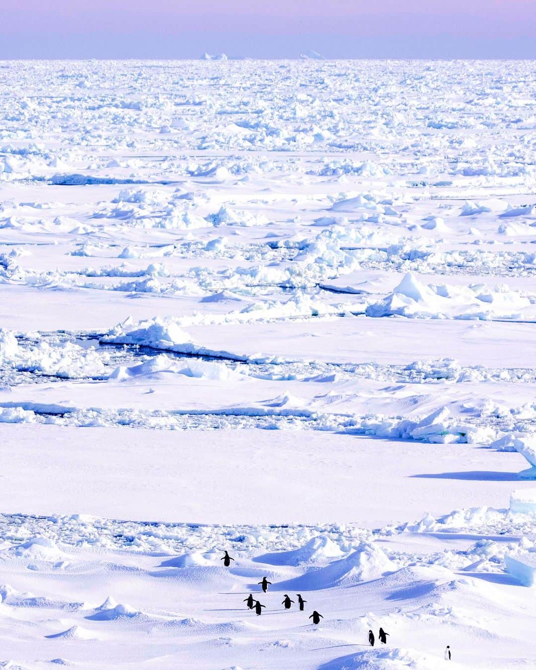 上田優紀さんのインスタグラム写真 - (上田優紀Instagram)「南極」7月15日 21時17分 - photographer_yukiueda