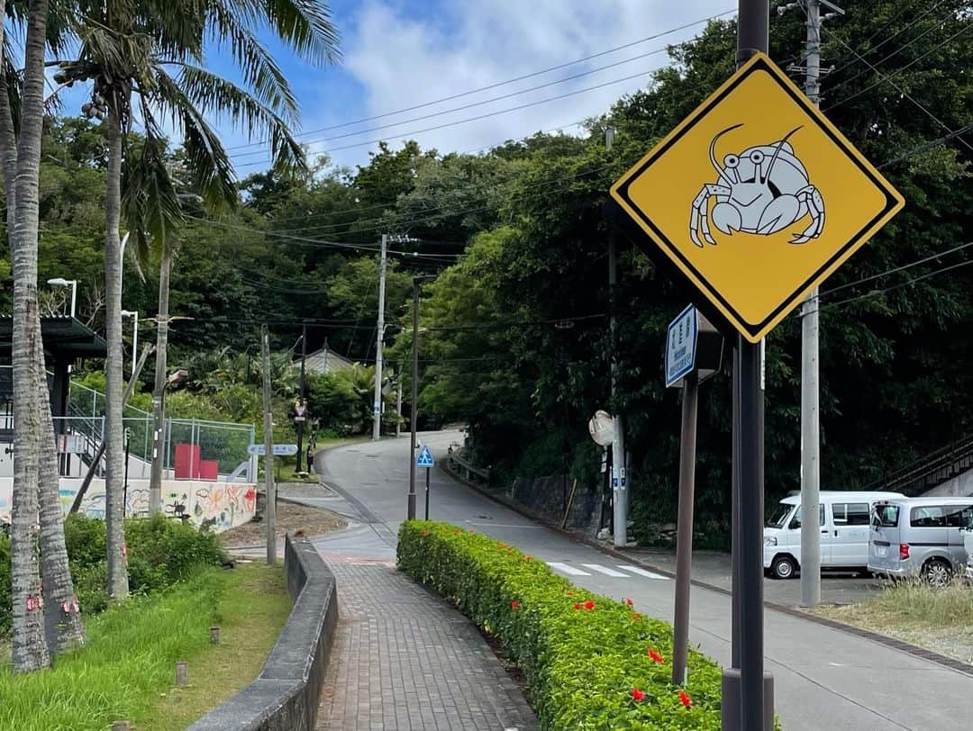 尾花貴絵さんのインスタグラム写真 - (尾花貴絵Instagram)「🏝 . 【お知らせ】 7月22日(土) 10時40分～放送 NHK BSプレミアム／NHK BS4K  世界に誇る日本の大自然をBS4Kで体感！ 「絶景ぜんぶ見せます！世界自然遺産 ―小笠原諸島―」 . 日本で初めて世界自然遺産が登録されて30年。 それを記念して放送される、こちらの番組にゲスト出演 致します。  ＼陸・海・空4K中継！／ 小笠原諸島の絶景＆生命の不思議をぜひ🔭🌍🌿 . ゲスト： 相葉雅紀さん 宮崎美子さん ハナコ・岡部大さん 尾花貴絵 (野鳥研究者) 川上和人さん . . #NHK #世界自然遺産 #絶景 #小笠原諸島 #父島 #母島 #みてね」7月15日 21時30分 - kie_obana_