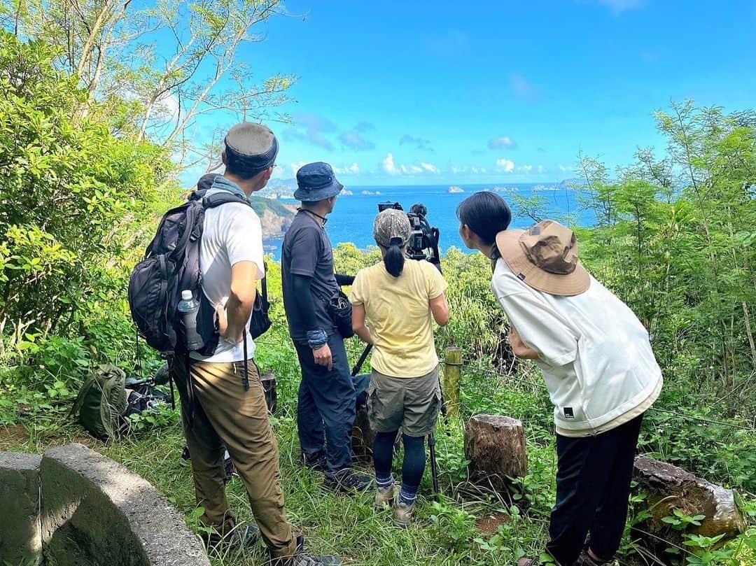 尾花貴絵さんのインスタグラム写真 - (尾花貴絵Instagram)「🏝 . 【お知らせ】 7月22日(土) 10時40分～放送 NHK BSプレミアム／NHK BS4K  世界に誇る日本の大自然をBS4Kで体感！ 「絶景ぜんぶ見せます！世界自然遺産 ―小笠原諸島―」 . 日本で初めて世界自然遺産が登録されて30年。 それを記念して放送される、こちらの番組にゲスト出演 致します。  ＼陸・海・空4K中継！／ 小笠原諸島の絶景＆生命の不思議をぜひ🔭🌍🌿 . ゲスト： 相葉雅紀さん 宮崎美子さん ハナコ・岡部大さん 尾花貴絵 (野鳥研究者) 川上和人さん . . #NHK #世界自然遺産 #絶景 #小笠原諸島 #父島 #母島 #みてね」7月15日 21時30分 - kie_obana_