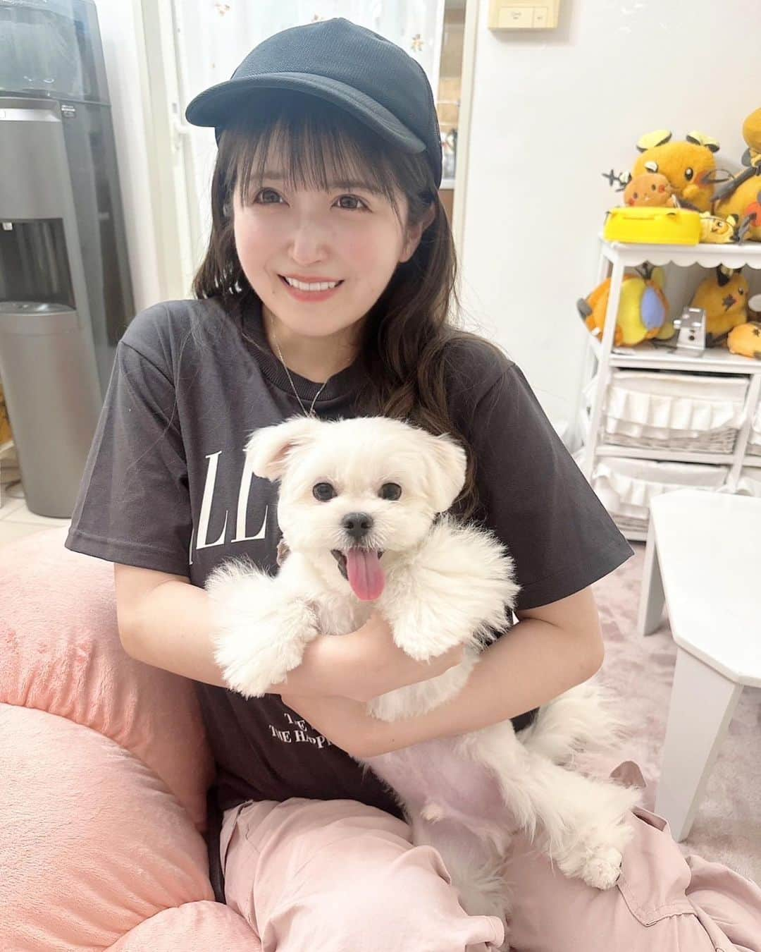 佐倉みきのインスタグラム：「はんぺん🐶🤍 とっても元気で癒された…🫧  (再投稿です.コメントくれてた方ごめんね🥲)  #マルペキ #マルチーズ #ペキニーズ #こいぬすたぐらむ」