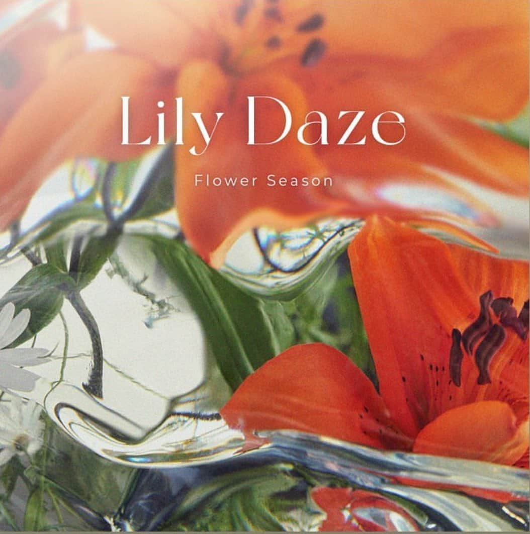 あさきのインスタグラム：「Lily Daze Sun Brown, Daisy Shower Pure Gray Open✨ 오프라인 인기 상품인 릴리데이즈 선브라운과 데이지샤워 퓨어 그레이가 온라인에도 오픈했어요 🌞💕」