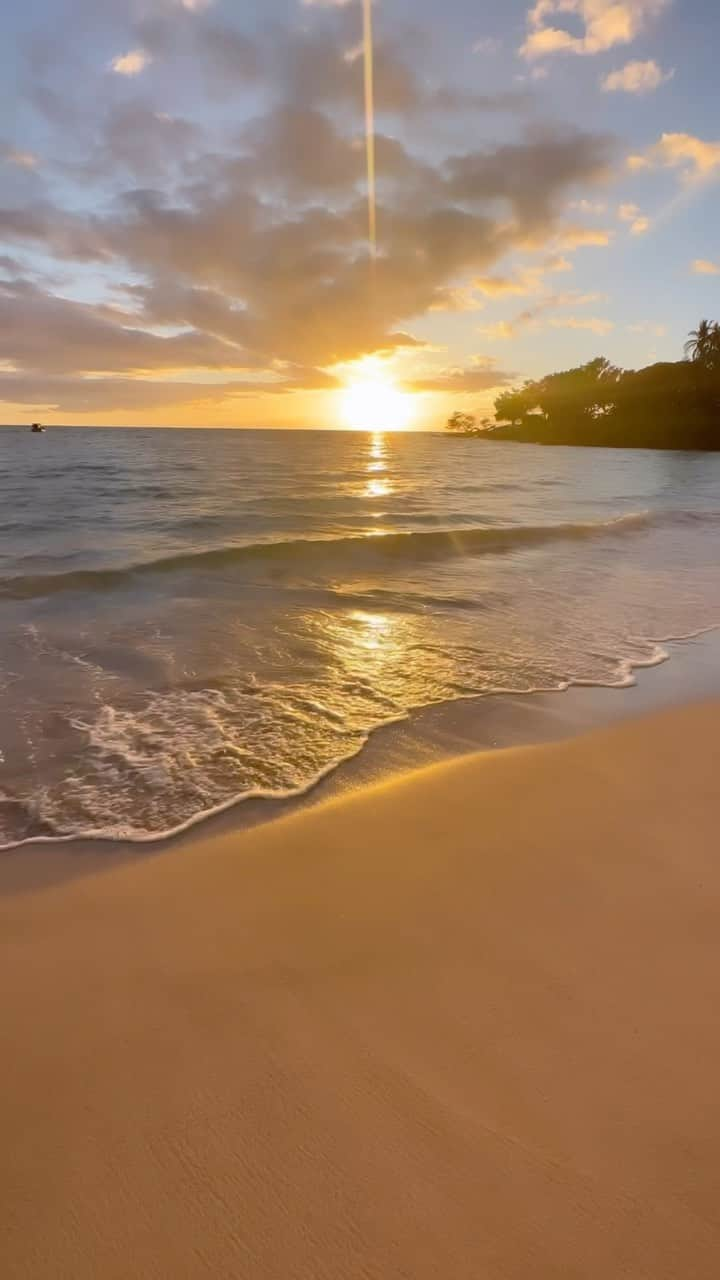 黄皓のインスタグラム：「Hawaiiにもう行きたい🤤 ホノルルもいいけど、大自然がいいなぁ🌳🌴⛰️」