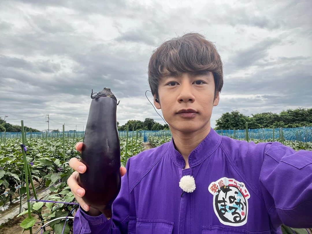 中丸雄一さんのインスタグラム写真 - (中丸雄一Instagram)「新潟県から中継。新潟はナスの作付面積が全国トップクラスのナス王国だった。  どれも立派で特徴も様々。美味しかった。夏野菜いいですねぇ。」7月15日 13時11分 - y_nakamaru_94
