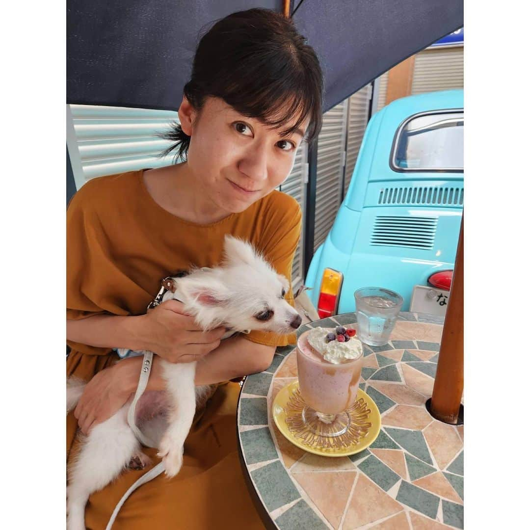 北口麻奈さんのインスタグラム写真 - (北口麻奈Instagram)「今日もあつ〜いので、 紅茶といちごのソルベを注文🍓 お、おいしすぎる🥰 抹茶ちゃんは、桃活してるパパの桃を強奪してたよ🍑 #ポメチワ #ぽめちわ #ポメチワ部 #ポメチワ愛好部 #ぽめちわぐらむ #暑さ対策 #いぬのいる暮らし」7月15日 13時39分 - asana_kitaguchi