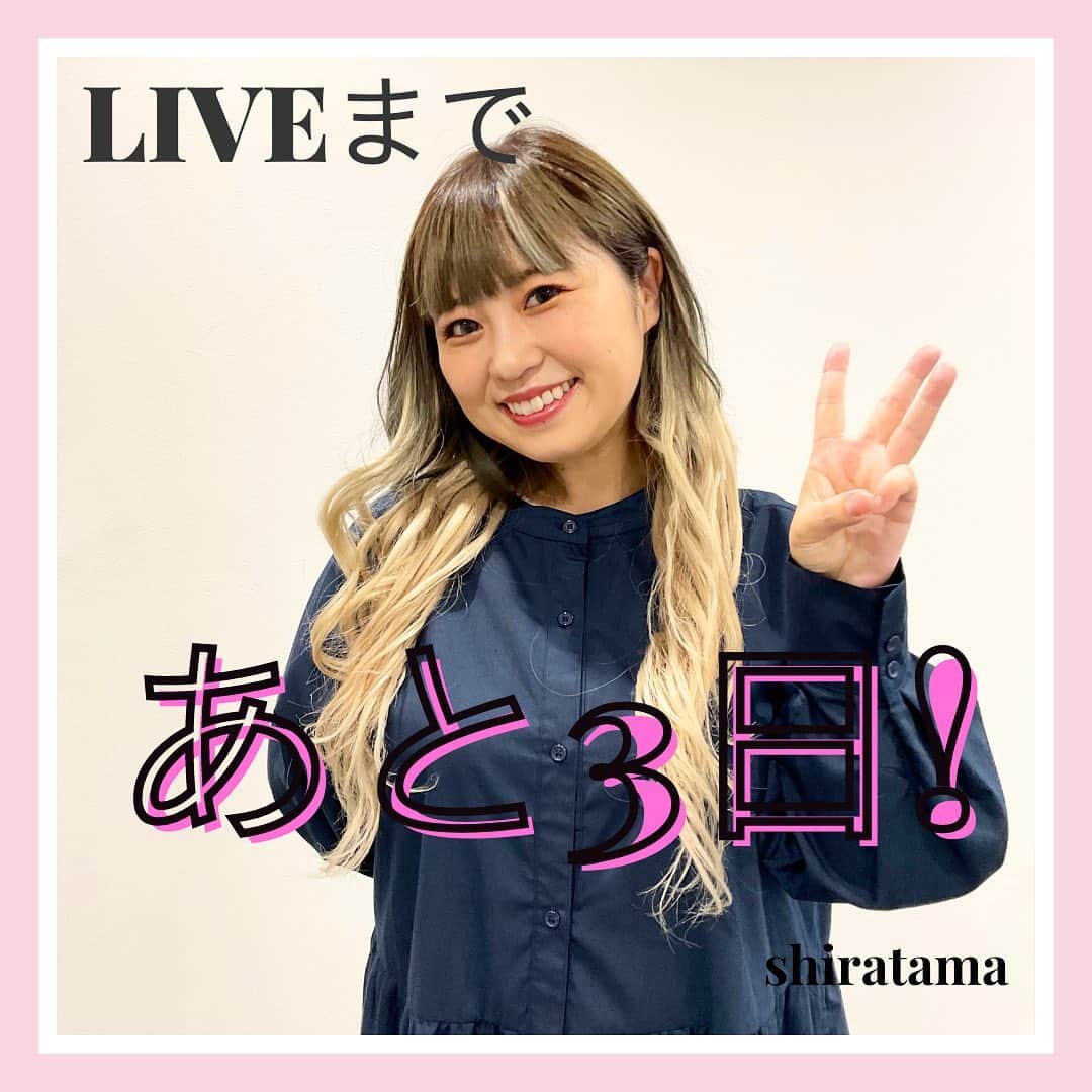 【公式】ハッピーマリリンのインスタグラム：「. . \\ ✨✨ アンバサダーコラボ商品発売決定✨✨ // . . 発売直前インスタLIVEまであと3日！  しらたまちゃんからコメントが届きました💌 . . 『あと3日だよーーー！！ 3日って長い？短い？  あと少しで販売開始😆 ドキドキするー💓楽しみだなー♪』 . . . マリリンアンバサダー #マリ女 7名とコラボした 着るだけでハッピーになれる 14商品の発売が決定いたしました🙌 . 【商品発売日程】 ⚫︎7/20(木) 15:00〜 10商品 ⚫︎8/1(火) 15:00〜 4商品 . 【LIVE日程】 ⚫︎7/18(火) 19:30〜 出演:おとちゃん，ことなちゃん，まるちゃん ⚫︎7/19(水) 11:20〜 出演:ゆかこちゃん，しえなちゃん，しらたまちゃん，はるなちゃん . LIVE視聴者様限定で、コラボ商品プレゼントもございます🎁 是非お楽しみに.｡.:*☆ . . ********************************************************  🍧夏の新作続々入荷中🍧 ⏬プロフィール欄をチェック(｡vωv｡｀)*･°  @happymarilyn_official . . 🍀コーデ用サブアカウントの運用を開始しました🍀 ⏬みんなのコーデを見るならサブアカウントから(｡vωv｡｀)*･°  @ahappymarilyn  気になる商品や質問等、お気軽にコメントやDMまで💌  ********************************************************  ハッピーマリリンでは M～10L までの幅広いサイズや、 ゆったりとした大きいサイズのお洋服を取り揃えています。  ✨👗あなたにピッタリのお洋服がきっと見つかる👗✨ . . . #ハッピーマリリン #happymarilyn #ぽっちゃりでもオシャレしたい  . .」