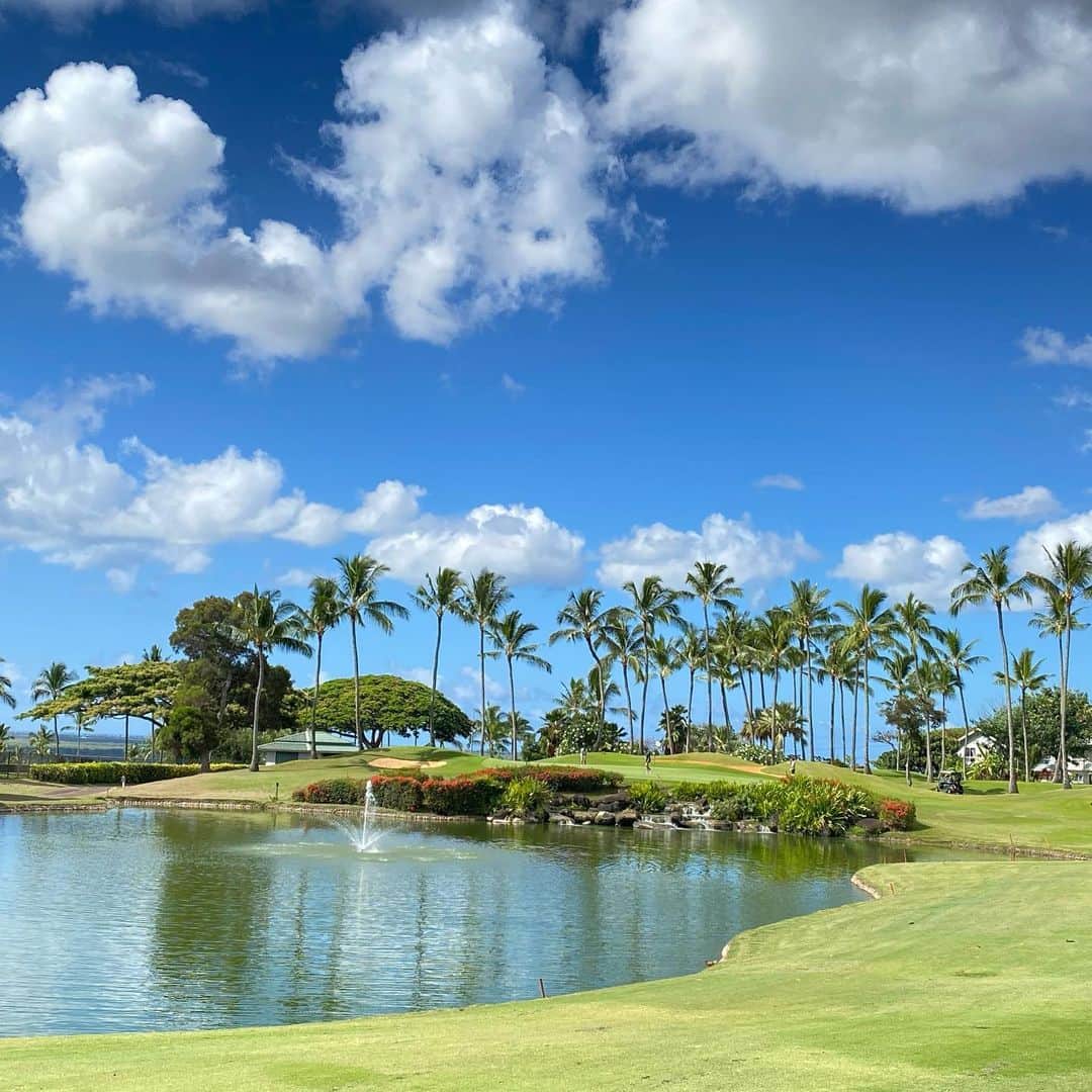 小尾渚沙さんのインスタグラム写真 - (小尾渚沙Instagram)「ワイケレカントリークラブ⛳️⛳️ @golfwaikele  ハワイでは #コオリナゴルフクラブ に続き、ワイケレでもプレーしてきました〜⛳️❤️わーい👏👏  ヤシの木が大好きなので、こんなにたくさんあってテンション上がりました🌴🌴🌴🤣 景色が良い上にフェアウェイも広く、気持ち良かったです😍  （バンカー地獄にハマって撃沈したので、スコアは秘密🤭笑） . . #時差投稿 #ハワイ #ハワイ旅行 #新婚旅行  #ゴルフ #ゴルフ女子 #夫婦ゴルフ #趣味 #スイング動画  #ゴルフ上手くなりたい #ワイケレ #ハワイゴルフ #海外ゴルフ #waikelegolfclub #ワイケレゴルフクラブ#waikelecountryclub #ワイケレカントリークラブ #Hawaii #honeymoon #trip #フリーアナウンサー #小尾渚沙」7月15日 14時54分 - obi_nagisa