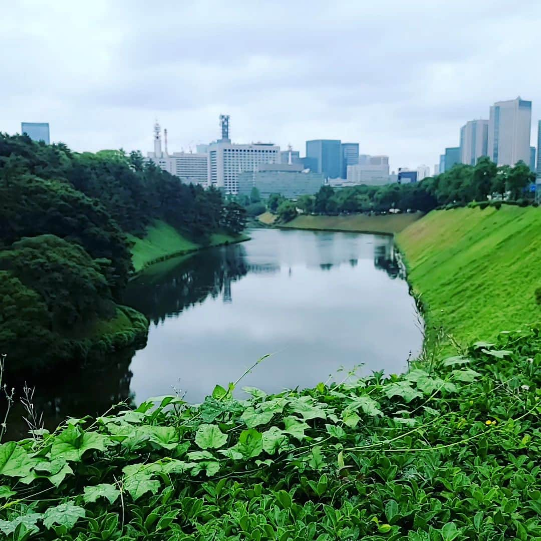 小高亮さんのインスタグラム写真 - (小高亮Instagram)「今夜の「アド街」は半蔵門に出没します。  美食の街の穴場も発見出来ます。 皇居ランナーさんたちも必見です。  今夜は21時30分～ですのでお間違えなく！  #アド街ック天国  #半蔵門 #片渕茜」7月15日 15時37分 - odaka_p