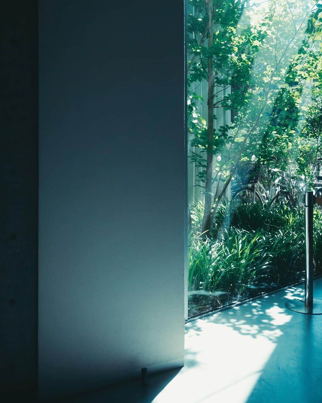 のインスタグラム：「. 隙間 ⁡ I always see a glimmer of light  through the crack in the door... 🌿 ⁡」