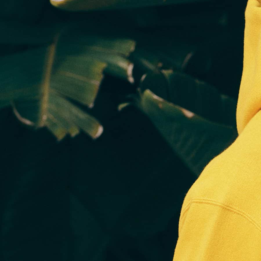 のインスタグラム：「Standard California 2023 Autumn / Winter   “ California Dreamin' “   オフィシャルブランドサイト、Collection公開です。   Photography:Shinji Ashizawa/TKY @shinji_serizawa, Asato Iida/LA @asatoiida Cordinator:Daiki Fukuoka/LA @daikifukuoka Director:Jumpei Ichikawa @jumpeiji Special thanks:Alley Cats @alley_cats_yutenji   #standardcalifornia #スタンダードカリフォルニア #californiadreamin #23awcaliforniadreamin #2023aw #autumnwinter #california #tokyo #ebisu」