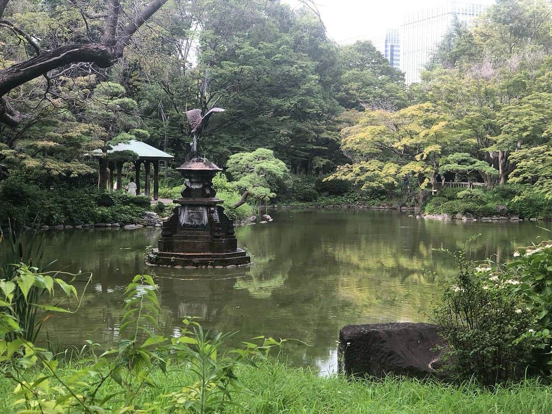 ティ・カトウさんのインスタグラム写真 - (ティ・カトウInstagram)「野音。 東京にも緑がたくさんあるんだねえ。」7月15日 16時27分 - tea_kato