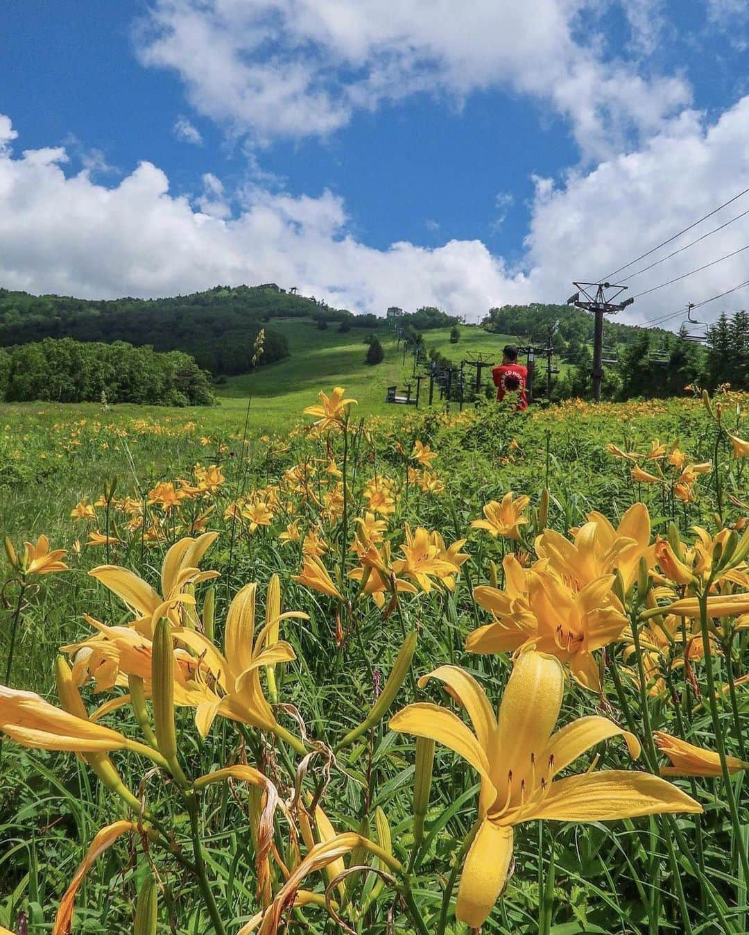 ?長野県 観光 公式インスタグラム のインスタグラム