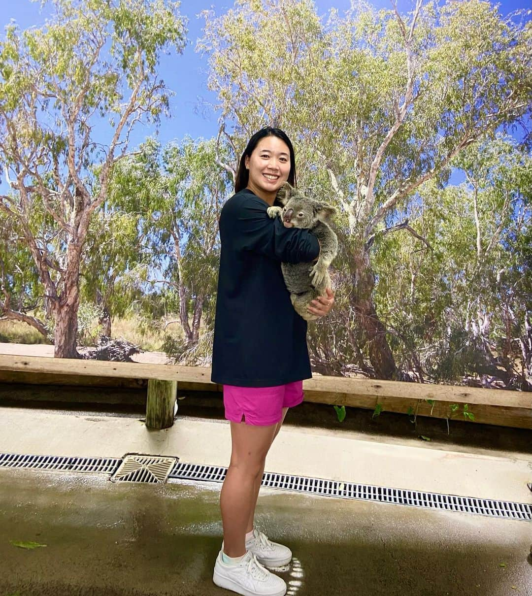 高橋美帆のインスタグラム：「✈️🇦🇺Cairns  してみたかったコアラ抱っこ🐨 と、石垣で１年半粘っても見れなかった南十字星🌌  出発前日にゴーグル持って来いと言ってきた後輩のおかげでironmanのレース見せてもらったのもいい思い出🏊‍♀️🚴‍♀️🏃‍♀️ みなさまかっこよかったです✨✨  ……ラン10kmくらいできついとか言うのやめようと思います🥹笑  今回はグレートバリアリーフとウルル＝カタ・ジュタ国立公園(エアーズロック) の世界遺産にも行けました🌏  #cairns  #kuranda  #koala  #southerncross  #ケアンズ  #南十字星  #コアラ抱っこ  #ケアンズ旅行  #オーストラリア旅行」