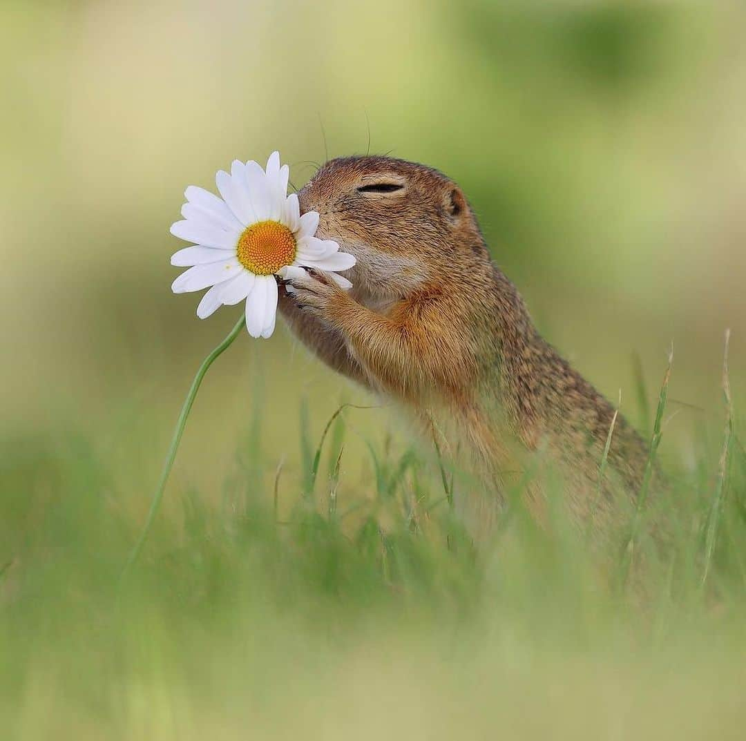 イ・ヌリのインスタグラム：「Breathing🌼」