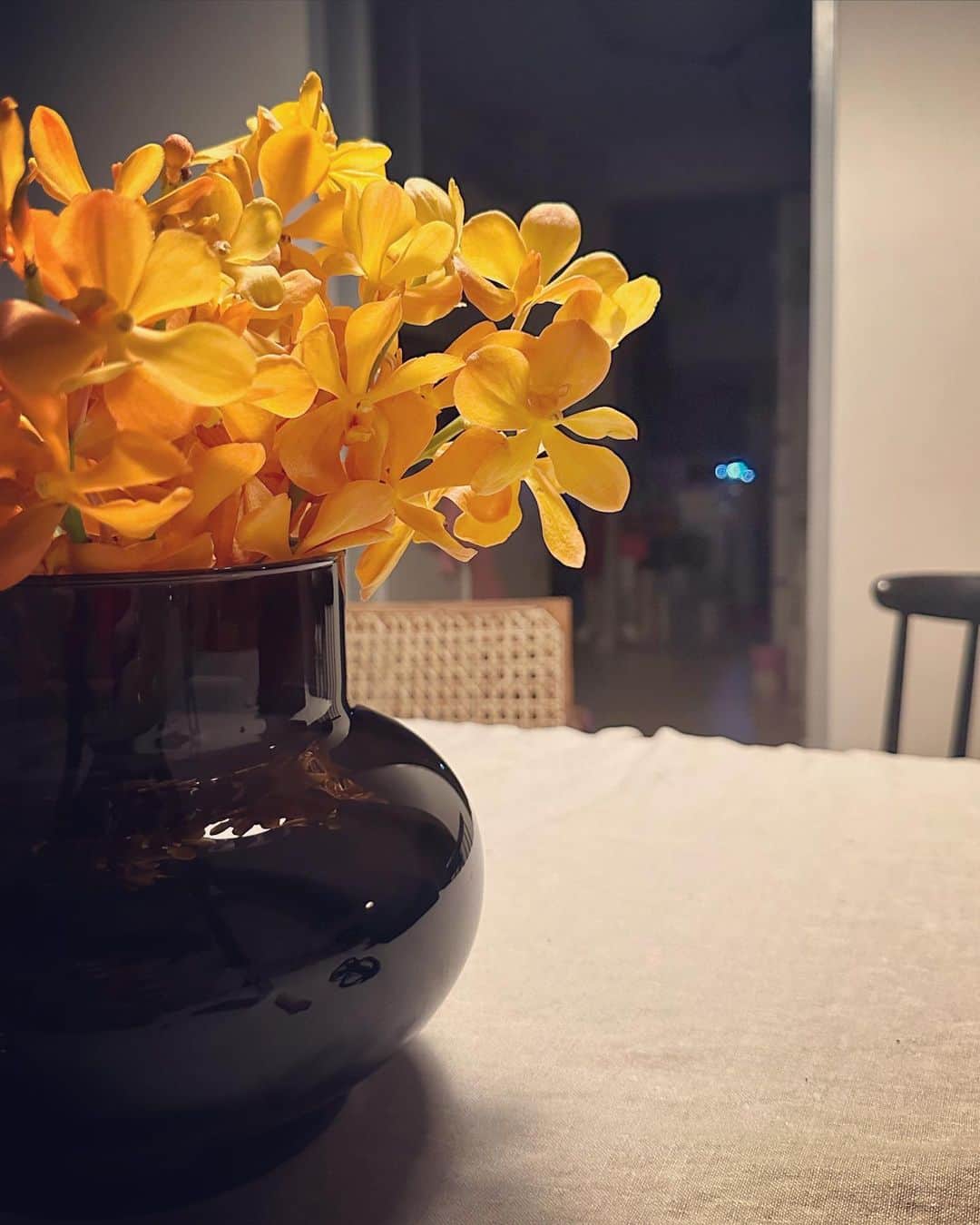 百々千晴さんのインスタグラム写真 - (百々千晴Instagram)「とうとう夏本番って感じがしてきたので 最近は物忘れがひどくて辛いから 夏前の出来事をdiaryとして🖤  オークラってやっぱり🖤 黒い花瓶買った🖤 マノロってやっぱり🖤 ウカのチーズケーキ、グルテンフリー🖤 ダンス楽しい🖤 いつも花にかこまれているマリリン🖤 リディアショールームすごく広くてモダン🖤 パリ🖤 みんながお祝いしてくれた６月🖤」7月15日 17時39分 - dodo_chiharu