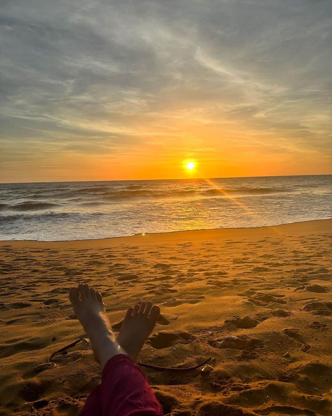 ベイビーリオンさんのインスタグラム写真 - (ベイビーリオンInstagram)「. 目を奪われ、心をも奪われるものを追い求め続ける。 ただそれだけ🦁  スリランカ行きの飛行機でsoulという映画を見た。 今の自分にとっても必要な題材の映画だった‼︎ 夕陽を見ることが私の煌めきだ〜🌞🧡 . #sunset #sunsetlovers #sunsetbeach #palmtrees #srilanka #srilankatravel #srilankatrip #スリランカ #夕陽 #ウェルネスライフスタイル #ウェルネスコーチ」7月15日 17時45分 - baby__lion