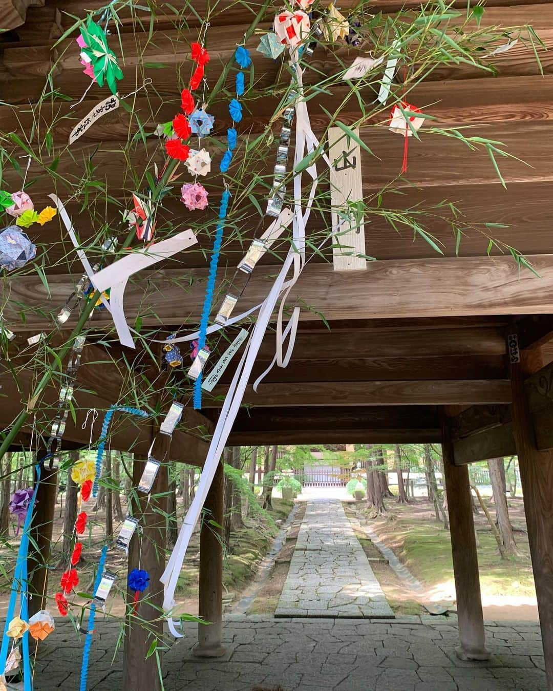 中橋舞さんのインスタグラム写真 - (中橋舞Instagram)「. run 17.83km  素敵な空間とみていた 曹源寺  行ってみたら 静かで、少し時の流れがゆっくりに感じると同時に 涼しさを感じる場所でした ②枚目の動画は虫の鳴き声もなんだか夏らしくて ぜひ音ありで🎶みてみてください  道中は全く影なしで お昼に出発したので 灼熱☀️だったのも余計に 涼を感じたかも😇  ちなみにはじめての道ばかりだったので 道に迷いまくり 頭も使いついた頃にはヘロヘロでした🙃  明日は曹源寺ではお祭りがあるそうで お祭りのご準備もされていていました  岡山素敵なスポットたくさんで 走っていきたいところが山ほどある♡ どんどん実現させていこう  #run #running #japanphoto  #okayama #岡山 #日本の風景  #japan_photo_now #岡山の風景  #ランナー #runlife #走るのが好き  #曹源寺 #ランニング #ママランナー  #お寺 #日本の夏 #japanesetemple #走って辿り着いた景色 #走らなければ出会えない感動がある」7月15日 18時20分 - mai_nakahashi