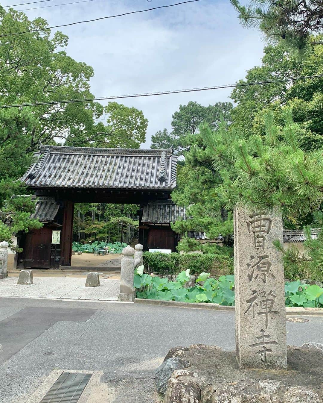 中橋舞さんのインスタグラム写真 - (中橋舞Instagram)「. run 17.83km  素敵な空間とみていた 曹源寺  行ってみたら 静かで、少し時の流れがゆっくりに感じると同時に 涼しさを感じる場所でした ②枚目の動画は虫の鳴き声もなんだか夏らしくて ぜひ音ありで🎶みてみてください  道中は全く影なしで お昼に出発したので 灼熱☀️だったのも余計に 涼を感じたかも😇  ちなみにはじめての道ばかりだったので 道に迷いまくり 頭も使いついた頃にはヘロヘロでした🙃  明日は曹源寺ではお祭りがあるそうで お祭りのご準備もされていていました  岡山素敵なスポットたくさんで 走っていきたいところが山ほどある♡ どんどん実現させていこう  #run #running #japanphoto  #okayama #岡山 #日本の風景  #japan_photo_now #岡山の風景  #ランナー #runlife #走るのが好き  #曹源寺 #ランニング #ママランナー  #お寺 #日本の夏 #japanesetemple #走って辿り着いた景色 #走らなければ出会えない感動がある」7月15日 18時20分 - mai_nakahashi