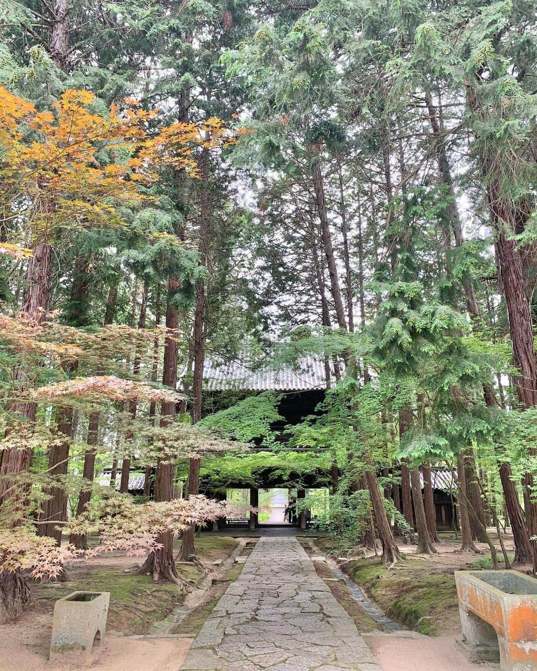 中橋舞さんのインスタグラム写真 - (中橋舞Instagram)「. run 17.83km  素敵な空間とみていた 曹源寺  行ってみたら 静かで、少し時の流れがゆっくりに感じると同時に 涼しさを感じる場所でした ②枚目の動画は虫の鳴き声もなんだか夏らしくて ぜひ音ありで🎶みてみてください  道中は全く影なしで お昼に出発したので 灼熱☀️だったのも余計に 涼を感じたかも😇  ちなみにはじめての道ばかりだったので 道に迷いまくり 頭も使いついた頃にはヘロヘロでした🙃  明日は曹源寺ではお祭りがあるそうで お祭りのご準備もされていていました  岡山素敵なスポットたくさんで 走っていきたいところが山ほどある♡ どんどん実現させていこう  #run #running #japanphoto  #okayama #岡山 #日本の風景  #japan_photo_now #岡山の風景  #ランナー #runlife #走るのが好き  #曹源寺 #ランニング #ママランナー  #お寺 #日本の夏 #japanesetemple #走って辿り着いた景色 #走らなければ出会えない感動がある」7月15日 18時20分 - mai_nakahashi