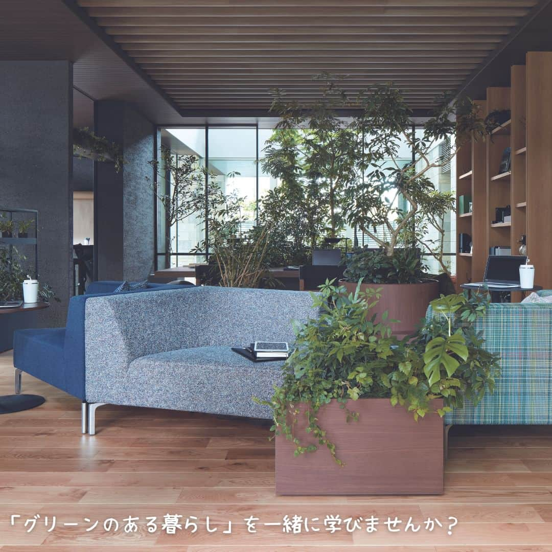 ミサワホーム株式会社さんのインスタグラム写真 - (ミサワホーム株式会社Instagram)「@misawahomes⠀ ＜vol.1＞「グリーンのある暮らし」 #癒しのグリーン ￣￣￣￣￣￣￣￣￣￣￣￣￣￣￣ 新シリーズがスタート♪  コロナ禍により変化した暮らし方。 住まいで過ごす時間が長くなるにつれ「グリーン」に対する関心が高まっているようです。  皆さんも身近に「グリーン」を取り入れてみませんか？  空間に「グリーン」を取り入れると、リラックス効果やストレス低減効果があったり、パフォーマンスを向上させる効果が…！  さらには、空気清浄作用や育てる楽しみも。 「グリーン」でさらに豊かな暮らしを実現しませんか？  …でも「グリーンのある暮らし」って何からはじめたらいいの？ 難しさを感じている方も多いのではないでしょうか。  「グリーンのある暮らし」シリーズでは、  ・はじめての「グリーンのある暮らし」 ・育てやすい動線や間取りのポイント ・ハンギンググリーンって？ ・上手に取り入れたいフェイクグリーン  など、「グリーンのある暮らし」の実現に向けた住まいづくりのポイントをご紹介します。  ぜひご覧くださいね！  ￣￣￣￣￣￣￣￣￣￣￣￣￣￣￣ #misawahome  #ミサワホーム  #ミサワホーム注文住宅  #新築 #一戸建て #自由設計の家  #住宅デザイン  #空間デザイン  #デザイナーズ住宅  #ハウスメーカー選び #建築事例 #高天井 #蔵のある家 #観葉植物インテリア #観葉植物のある家 #グリーンのある暮らし #インテリアグリーンのある暮らし #ベランダガーデン #グリーンインテリア #インテリアグリーン #インテリアプランツ #ハンギンググリーン #フェイクグリーン #中庭のある家 #中庭のある暮らし #好きなものに囲まれた暮らし #おうち時間を楽しむ #癒やしの空間 #ヌック」7月15日 19時00分 - misawahomes