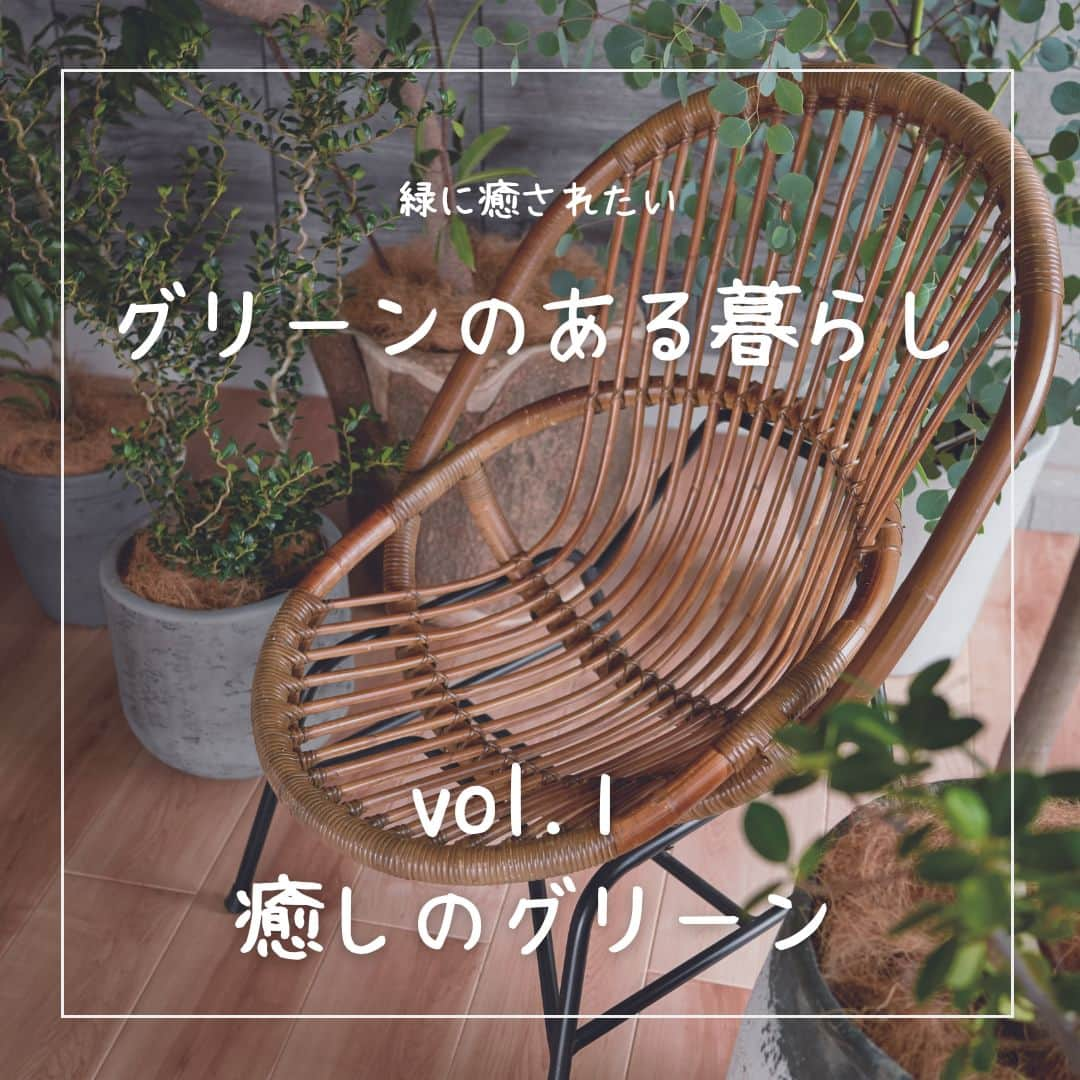 ミサワホーム株式会社さんのインスタグラム写真 - (ミサワホーム株式会社Instagram)「@misawahomes⠀ ＜vol.1＞「グリーンのある暮らし」 #癒しのグリーン ￣￣￣￣￣￣￣￣￣￣￣￣￣￣￣ 新シリーズがスタート♪  コロナ禍により変化した暮らし方。 住まいで過ごす時間が長くなるにつれ「グリーン」に対する関心が高まっているようです。  皆さんも身近に「グリーン」を取り入れてみませんか？  空間に「グリーン」を取り入れると、リラックス効果やストレス低減効果があったり、パフォーマンスを向上させる効果が…！  さらには、空気清浄作用や育てる楽しみも。 「グリーン」でさらに豊かな暮らしを実現しませんか？  …でも「グリーンのある暮らし」って何からはじめたらいいの？ 難しさを感じている方も多いのではないでしょうか。  「グリーンのある暮らし」シリーズでは、  ・はじめての「グリーンのある暮らし」 ・育てやすい動線や間取りのポイント ・ハンギンググリーンって？ ・上手に取り入れたいフェイクグリーン  など、「グリーンのある暮らし」の実現に向けた住まいづくりのポイントをご紹介します。  ぜひご覧くださいね！  ￣￣￣￣￣￣￣￣￣￣￣￣￣￣￣ #misawahome  #ミサワホーム  #ミサワホーム注文住宅  #新築 #一戸建て #自由設計の家  #住宅デザイン  #空間デザイン  #デザイナーズ住宅  #ハウスメーカー選び #建築事例 #高天井 #蔵のある家 #観葉植物インテリア #観葉植物のある家 #グリーンのある暮らし #インテリアグリーンのある暮らし #ベランダガーデン #グリーンインテリア #インテリアグリーン #インテリアプランツ #ハンギンググリーン #フェイクグリーン #中庭のある家 #中庭のある暮らし #好きなものに囲まれた暮らし #おうち時間を楽しむ #癒やしの空間 #ヌック」7月15日 19時00分 - misawahomes