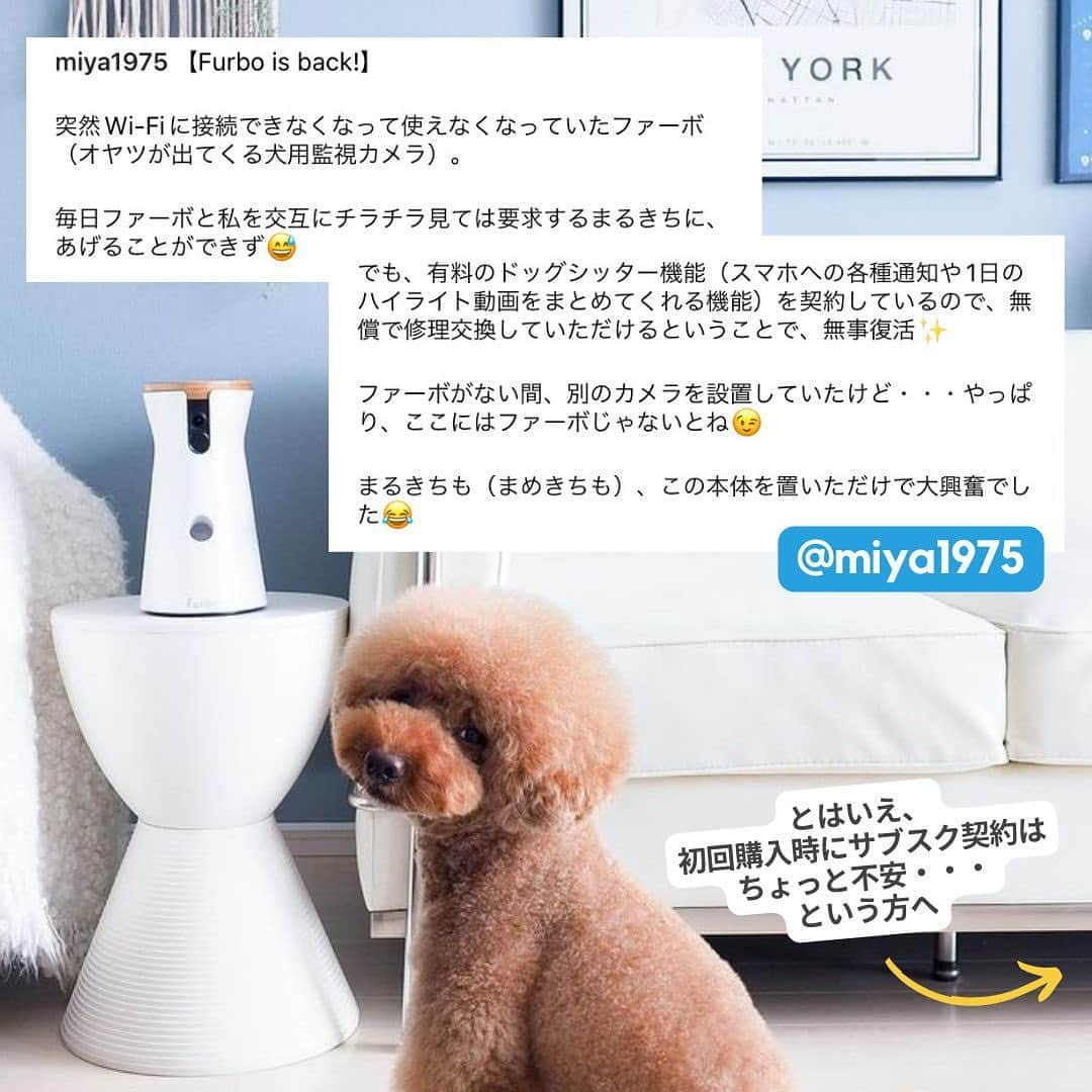 Furbo ドッグカメラさんのインスタグラム写真 - (Furbo ドッグカメラInstagram)「Furboを最もお得に購入するなら……  「Furbo定額セットプラン」が断然オススメ🐾✨   Furbo定額セットプランは どこよりもお安くFurboカメラ本体を購入できる 公式の最安値保証プランです🌟  料金や永久保証については ↑画像で紹介した通りですが、  Furboカメラ本体とFurboドッグシッターを 同時購入するメリットはまだまだ他にも たくさんあるんです！🤩  とってもリーズナブルに 愛犬に安心・安全なお留守番環境を プレゼントできるトータルケアプラン・・・  詳しくはプロフィールリンク🔗から 今すぐ公式サイトをチェック! 🐕💨  ⇨ @furbo_japan      ⋯     Special Thanks to @miya975 💛  #Furbo #ファーボ #ファーボは見た #ファーボでお留守番できるもん #ドッグカメラ #ペットカメラ #見守りカメラ #お留守番カメラ #犬すたぐらむ #犬好きさんと繋がりたい #犬グッズ #ペットグッズ #ペット用品 #ペット家電」7月15日 19時06分 - furbo_japan