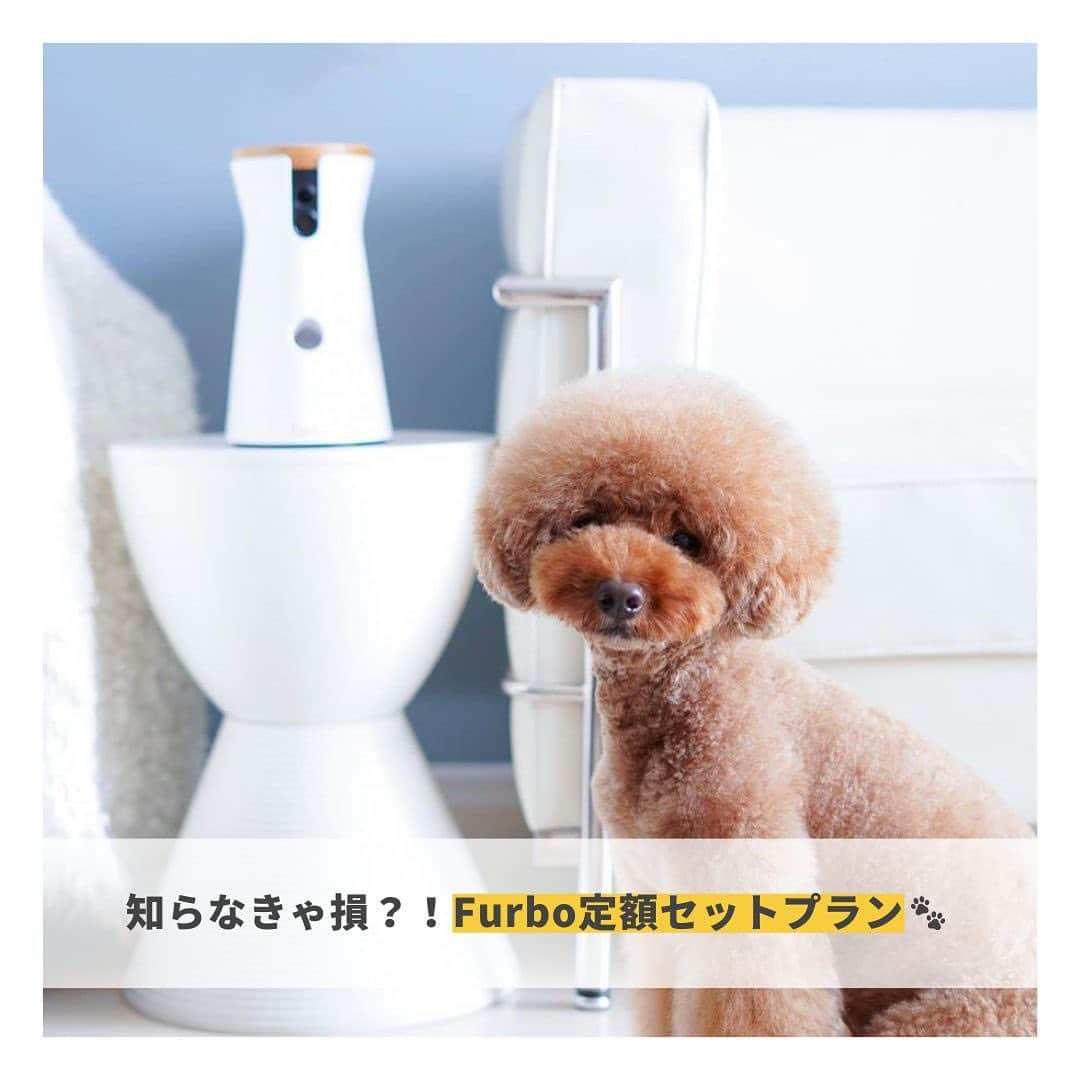 Furbo ドッグカメラのインスタグラム：「Furboを最もお得に購入するなら……  「Furbo定額セットプラン」が断然オススメ🐾✨   Furbo定額セットプランは どこよりもお安くFurboカメラ本体を購入できる 公式の最安値保証プランです🌟  料金や永久保証については ↑画像で紹介した通りですが、  Furboカメラ本体とFurboドッグシッターを 同時購入するメリットはまだまだ他にも たくさんあるんです！🤩  とってもリーズナブルに 愛犬に安心・安全なお留守番環境を プレゼントできるトータルケアプラン・・・  詳しくはプロフィールリンク🔗から 今すぐ公式サイトをチェック! 🐕💨  ⇨ @furbo_japan      ⋯     Special Thanks to @miya975 💛  #Furbo #ファーボ #ファーボは見た #ファーボでお留守番できるもん #ドッグカメラ #ペットカメラ #見守りカメラ #お留守番カメラ #犬すたぐらむ #犬好きさんと繋がりたい #犬グッズ #ペットグッズ #ペット用品 #ペット家電」