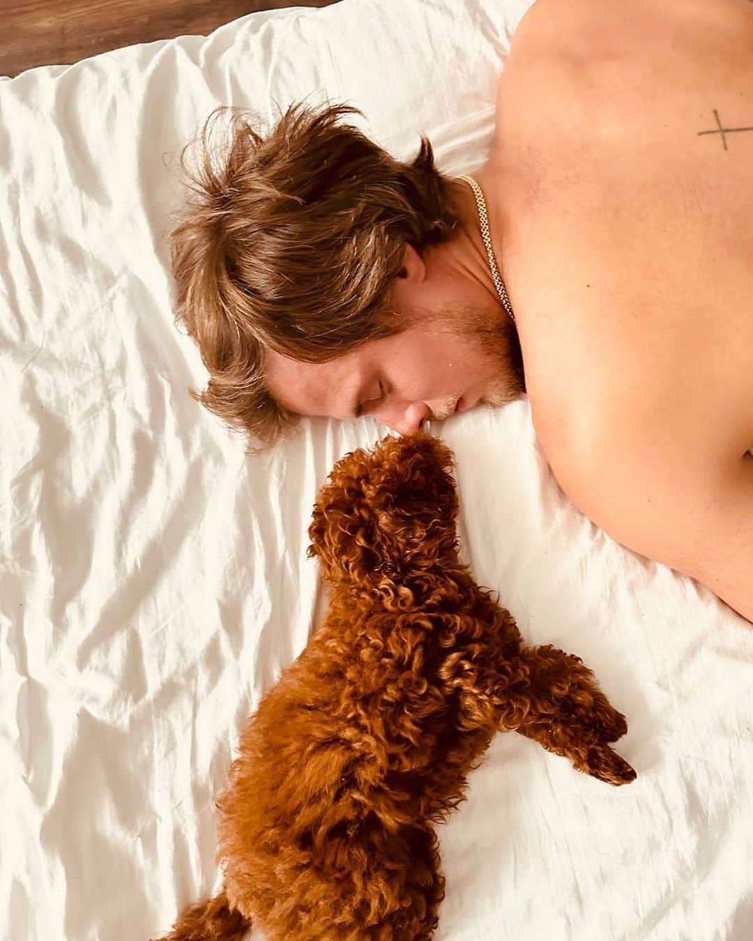 ニキータ・カツァラポフのインスタグラム：「🤫😴」