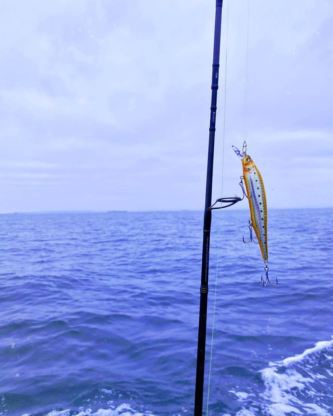 利水翔さんのインスタグラム写真 - (利水翔Instagram)「. 先月行ったプライベート釣り🎣 ⁡ 今回はルアーシーバス＆まごち狙いで✨ シーバス３匹とエイ、海藻をキャッチ🥰笑 エイと海藻はリリースしました😂😂笑 ⁡ 残念ながらまごちは釣れなかったけど 大漁で楽しかったー😘 ⁡ １日中キャスティングして 腕がパンパンになりました😂😂 ⁡ エイとのファイトは またリールにUPします🤭✨ ⁡ ⁡ ⁡ ⁡ ⁡ ⁡ #ootd #happy #바다낚시 #lurefishing #lure #釣りガール #japan #tokyo #钓鱼 #釣り #fishing #シーバス #アイランドクルーズ #boat #プライベートフィッシング  #ルアーフィッシング #利水つばさ #ファインダー越しの私の世界」7月15日 19時29分 - tsubasa.toshimizu