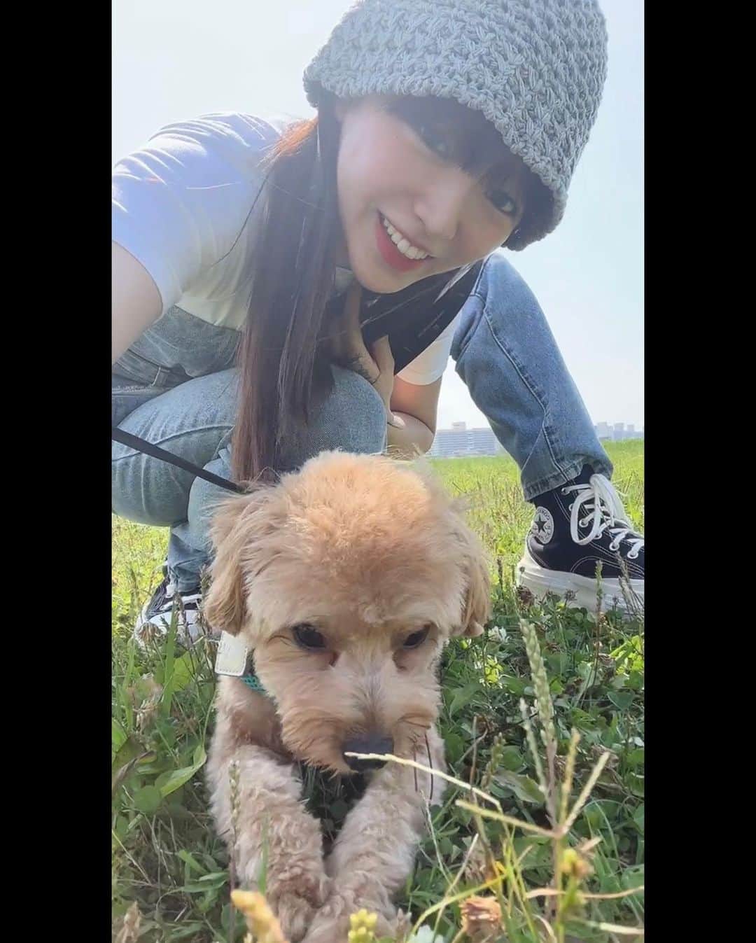 中山莉子さんのインスタグラム写真 - (中山莉子Instagram)「→ ウク君と2ショットは難しいです😐 ⁡ #愛犬#マルプー#わんこ#犬のいる暮らし#癒し#可愛い #dog#pet#dogstagram#instadog」7月15日 19時30分 - nakayama_riko_official